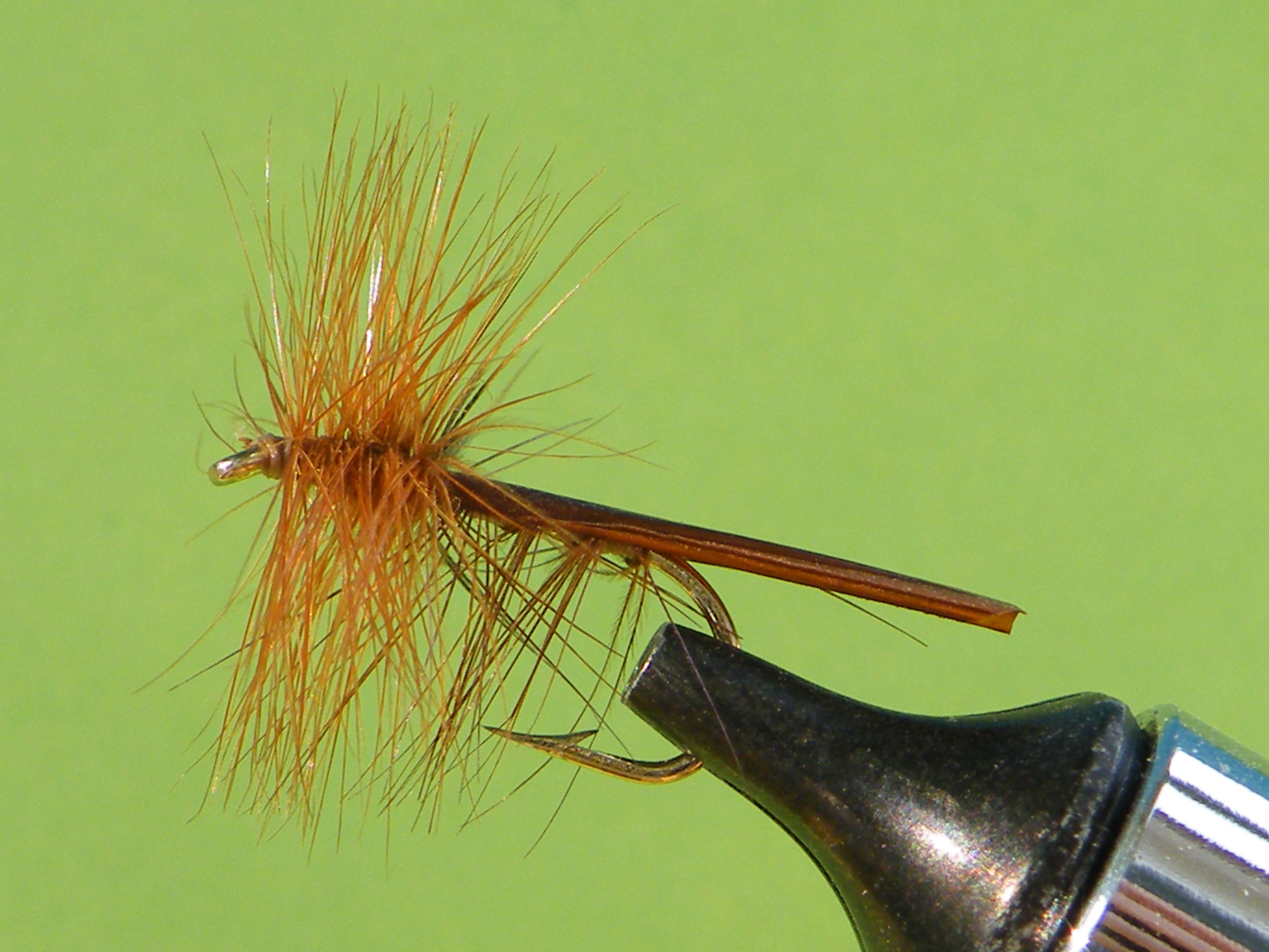 DSCF5538 Brown Stonefly.JPG