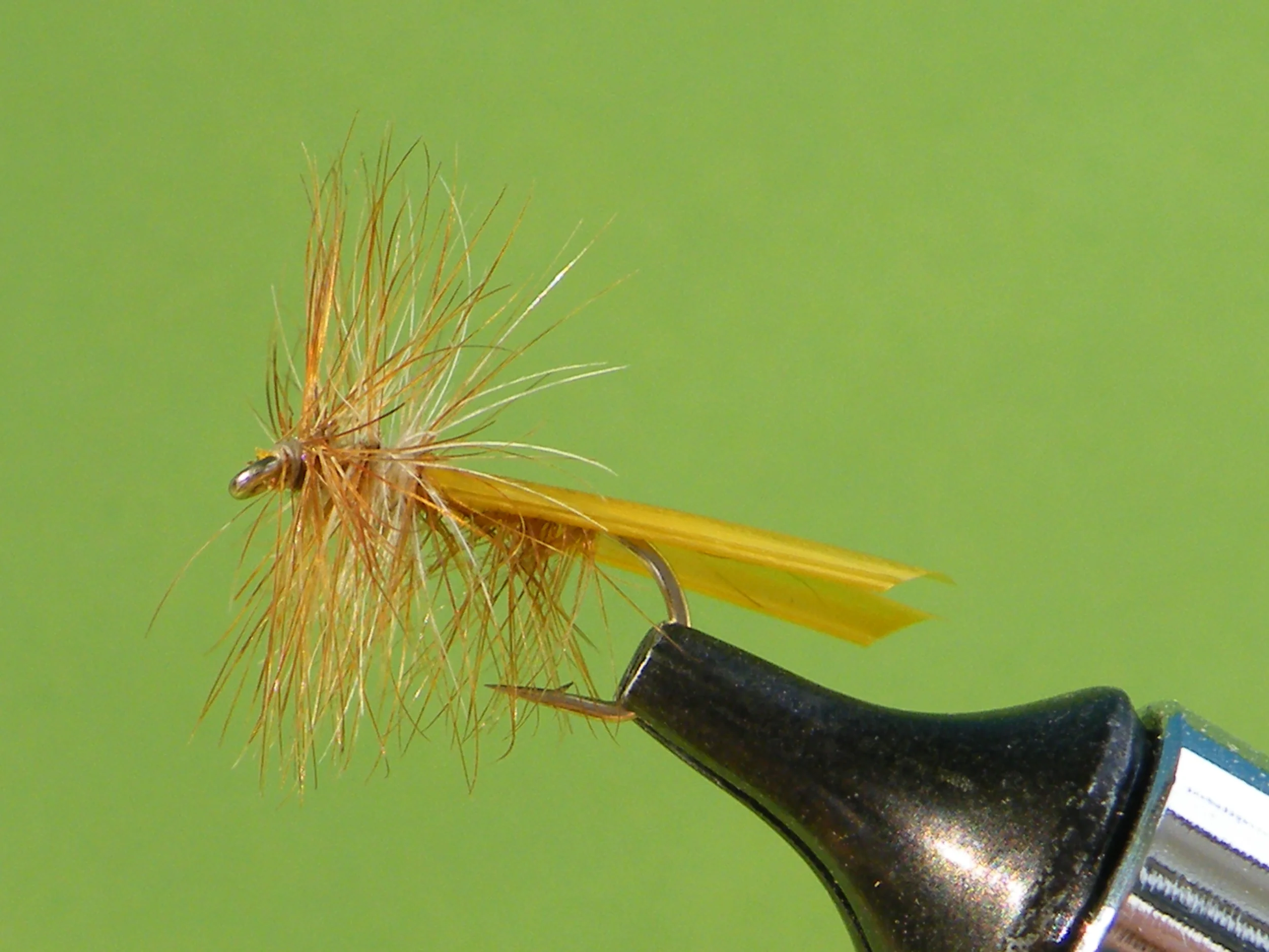 DSCF5539 Golden Stonefly.JPG