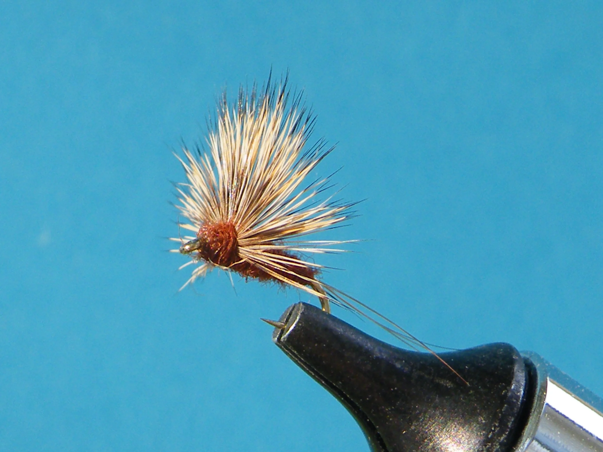 DSCF5546 Brown Comparadun Emerger.JPG