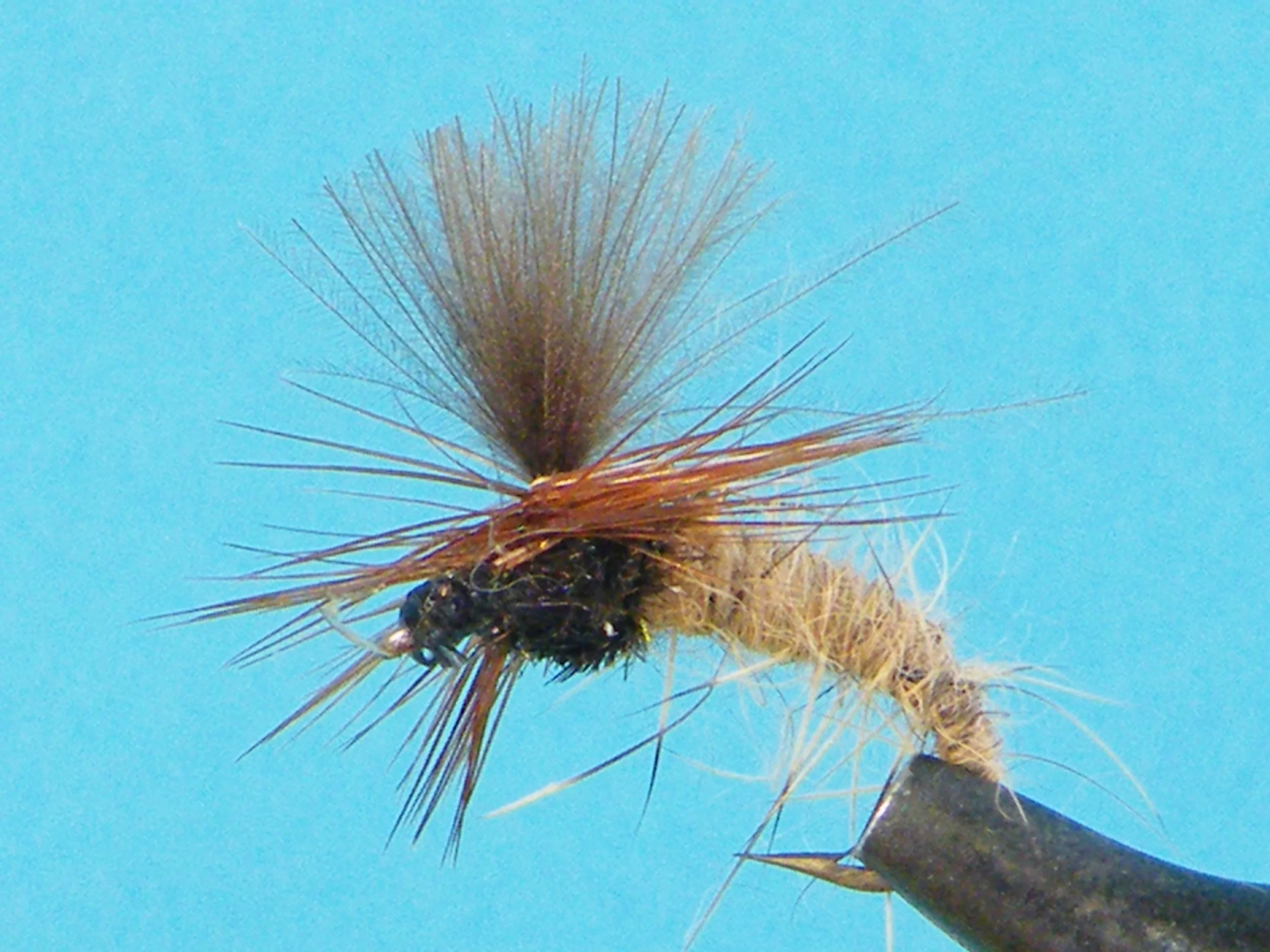 DSCF5549 CDC Klinkhammer.JPG