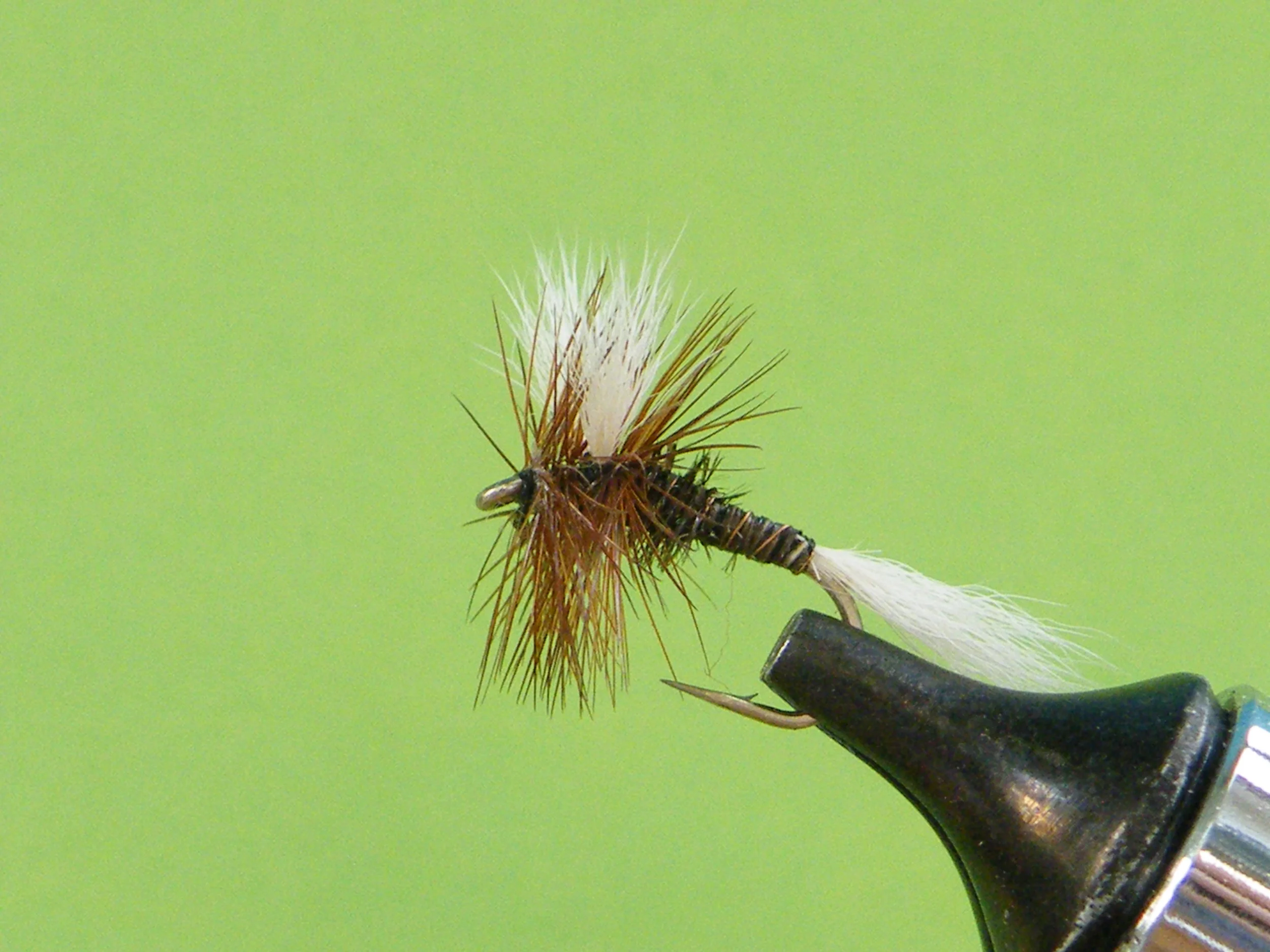 DSCF5568 H&L Variant.JPG