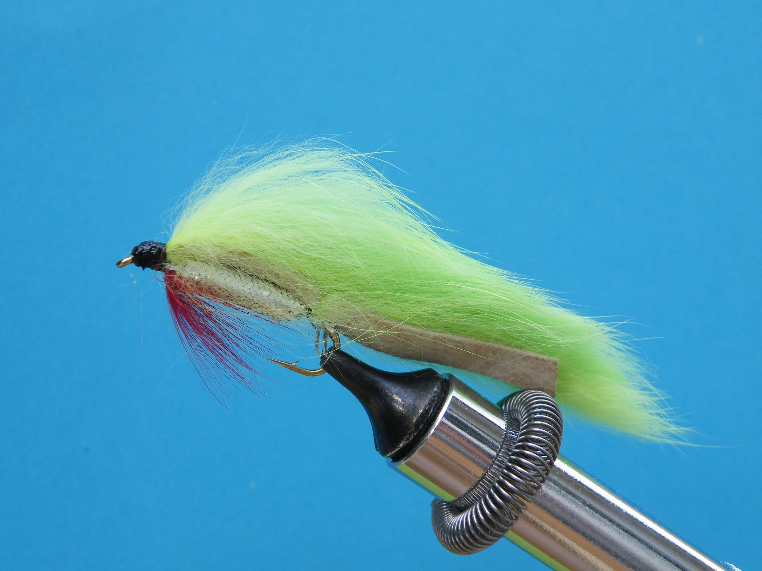 DSCF5767 Chartruse Zonker.JPG