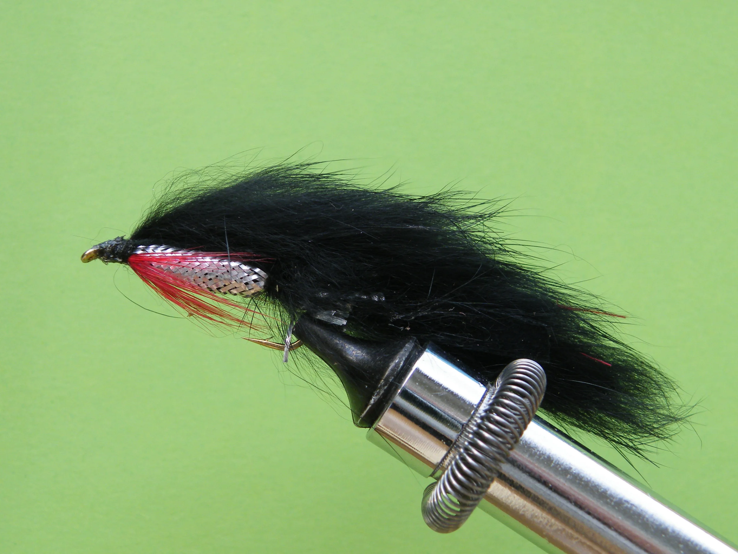 DSCF5765 Black Zonker.JPG