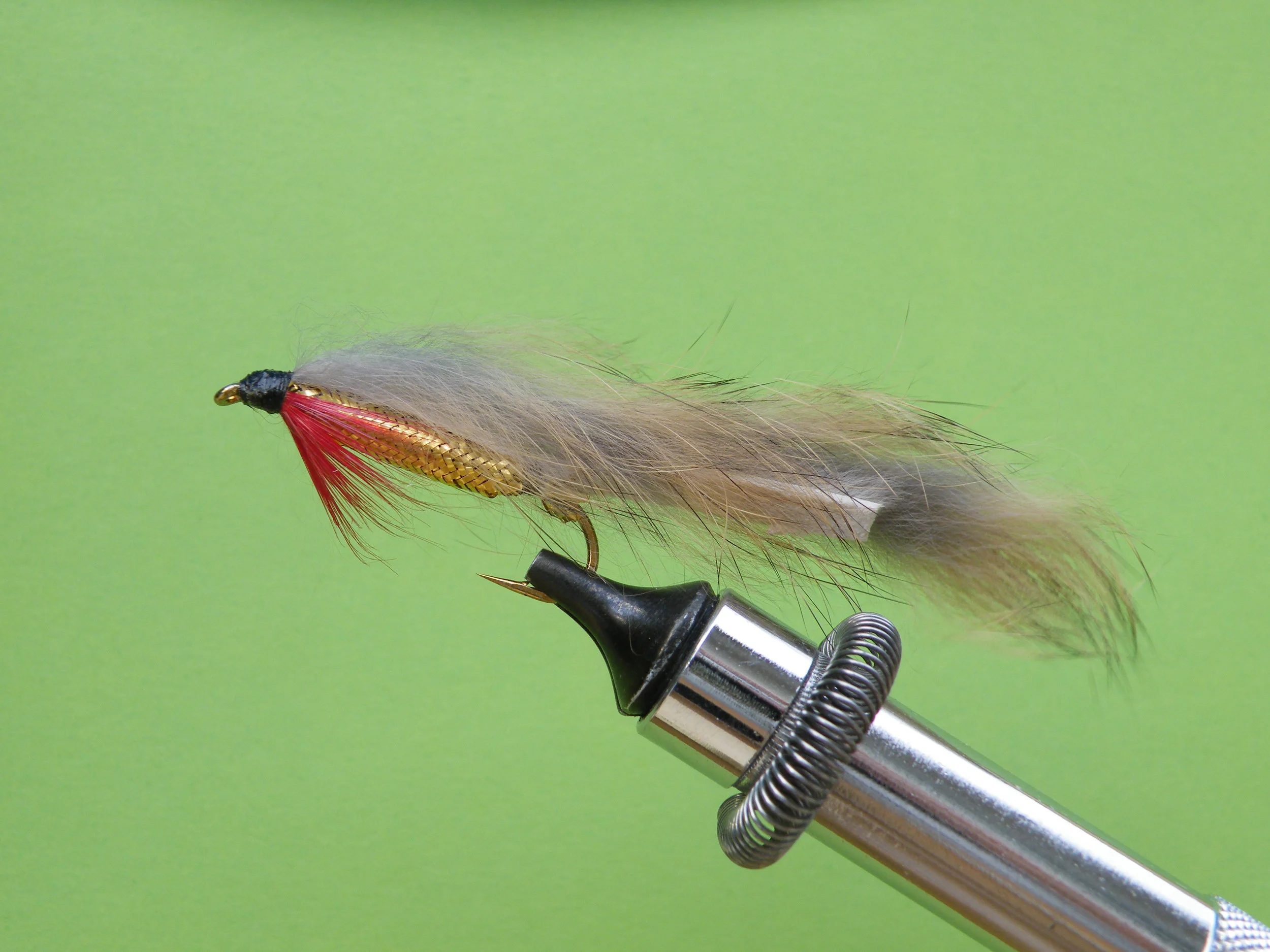 DSCF5769 Natural Zonker.JPG