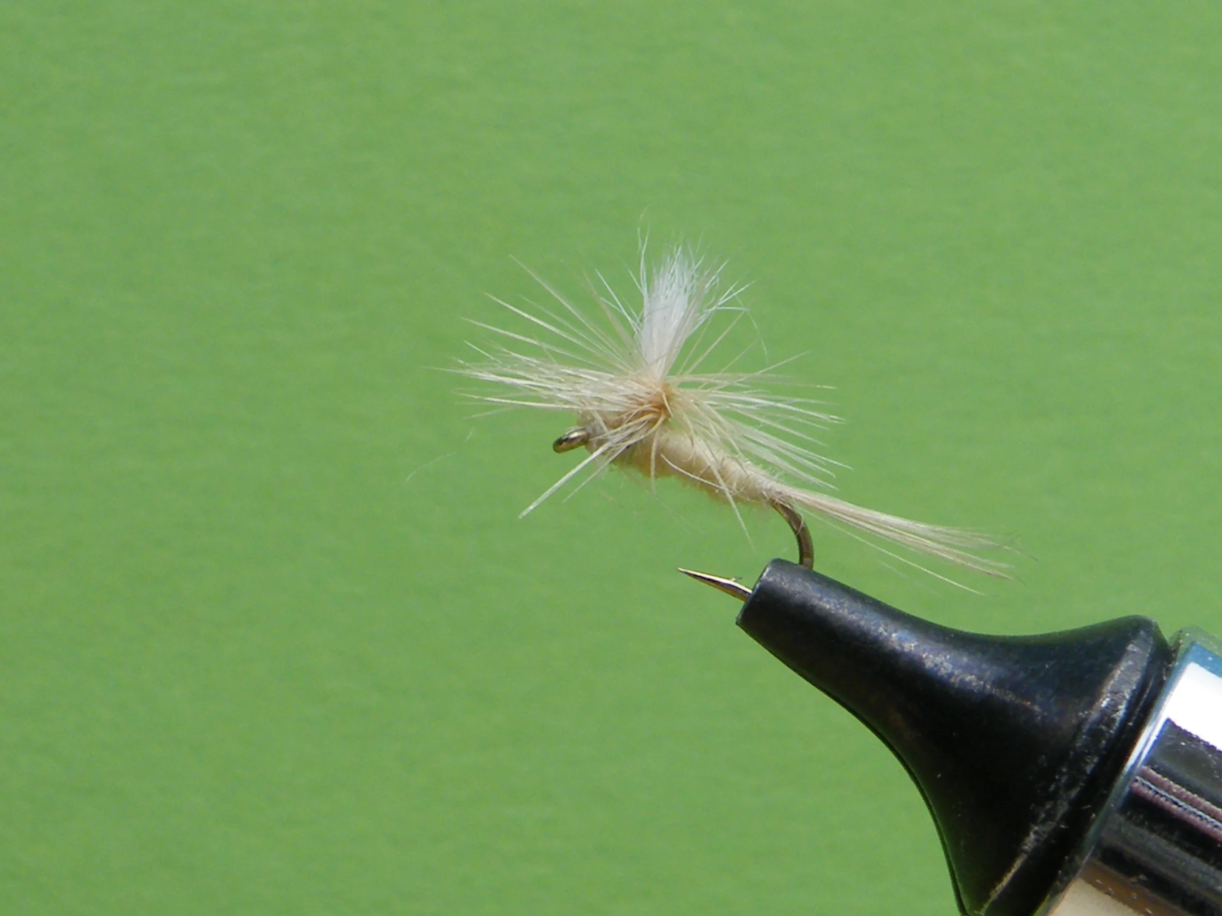 DSCF5573 Light Cahill Parachute.JPG