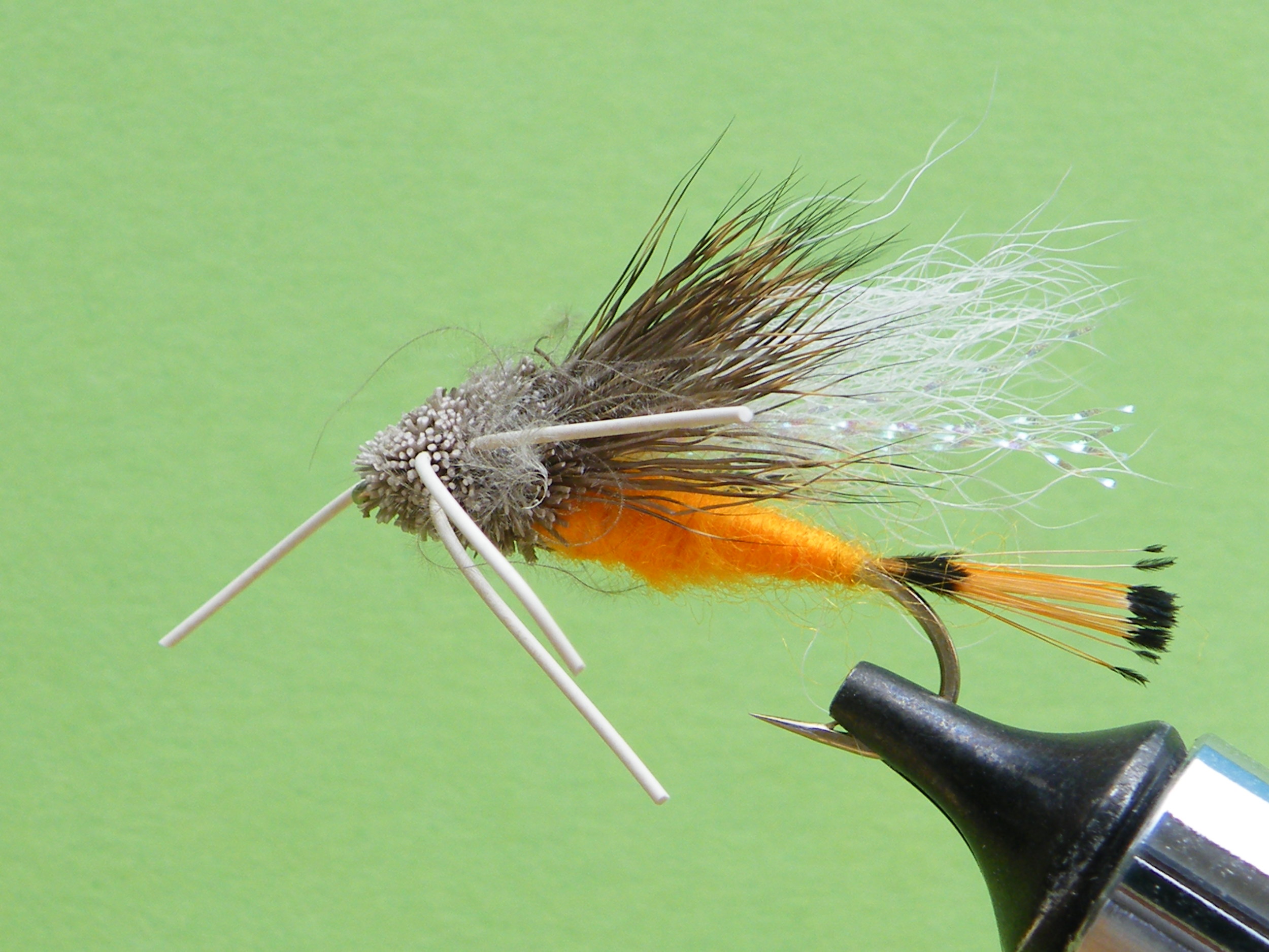 DSCF5577 Orange Tarantula.JPG