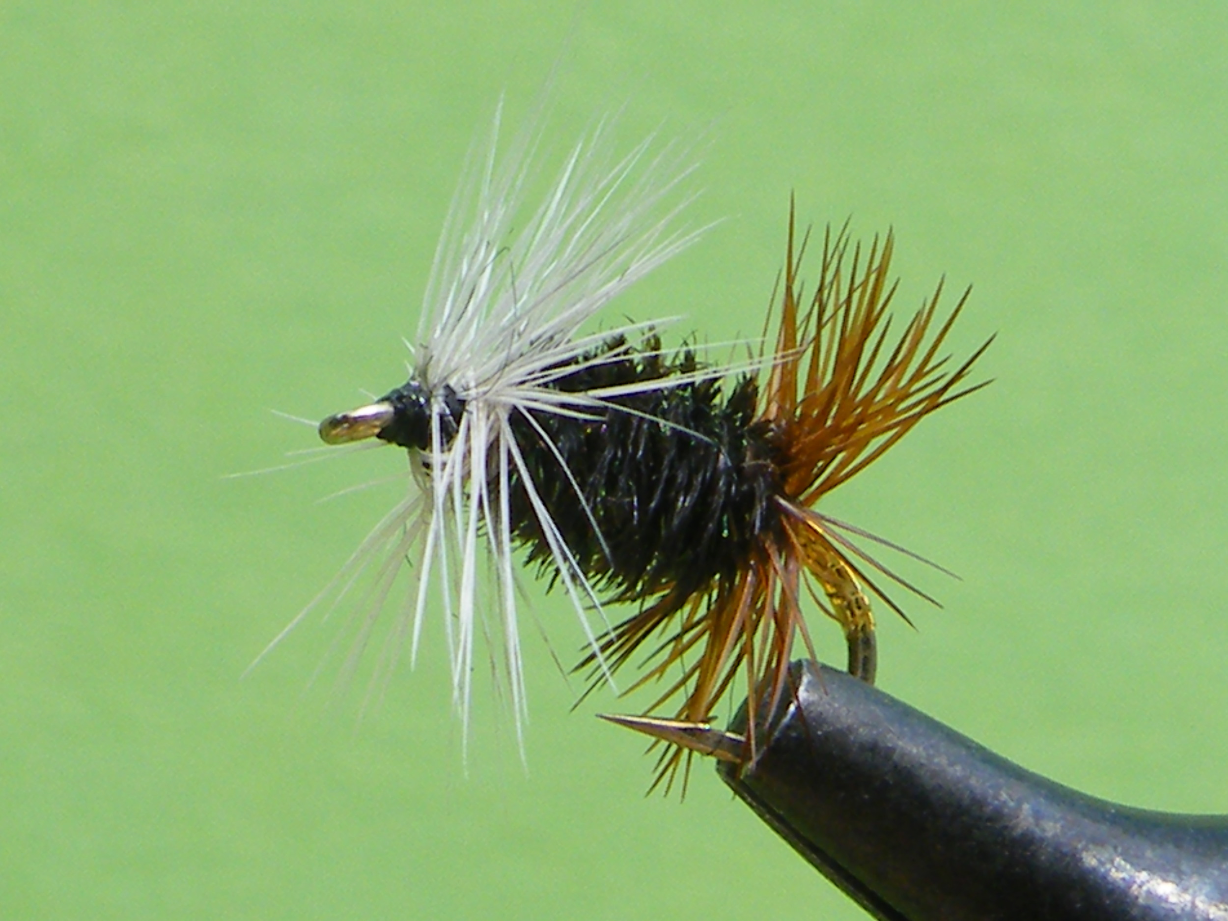 DSCF5579 Renegade.JPG