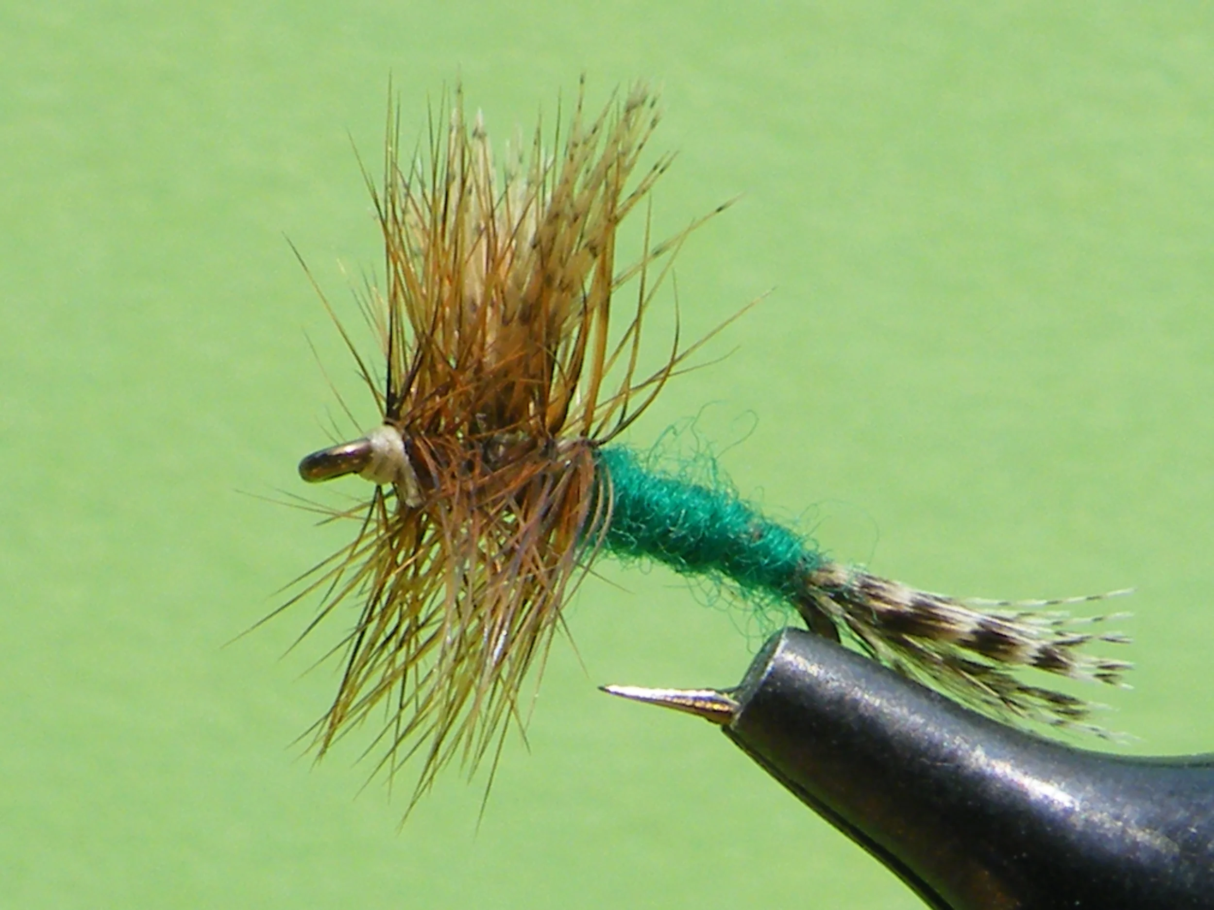 DSCF5588 Green Drake Allan Neally.JPG