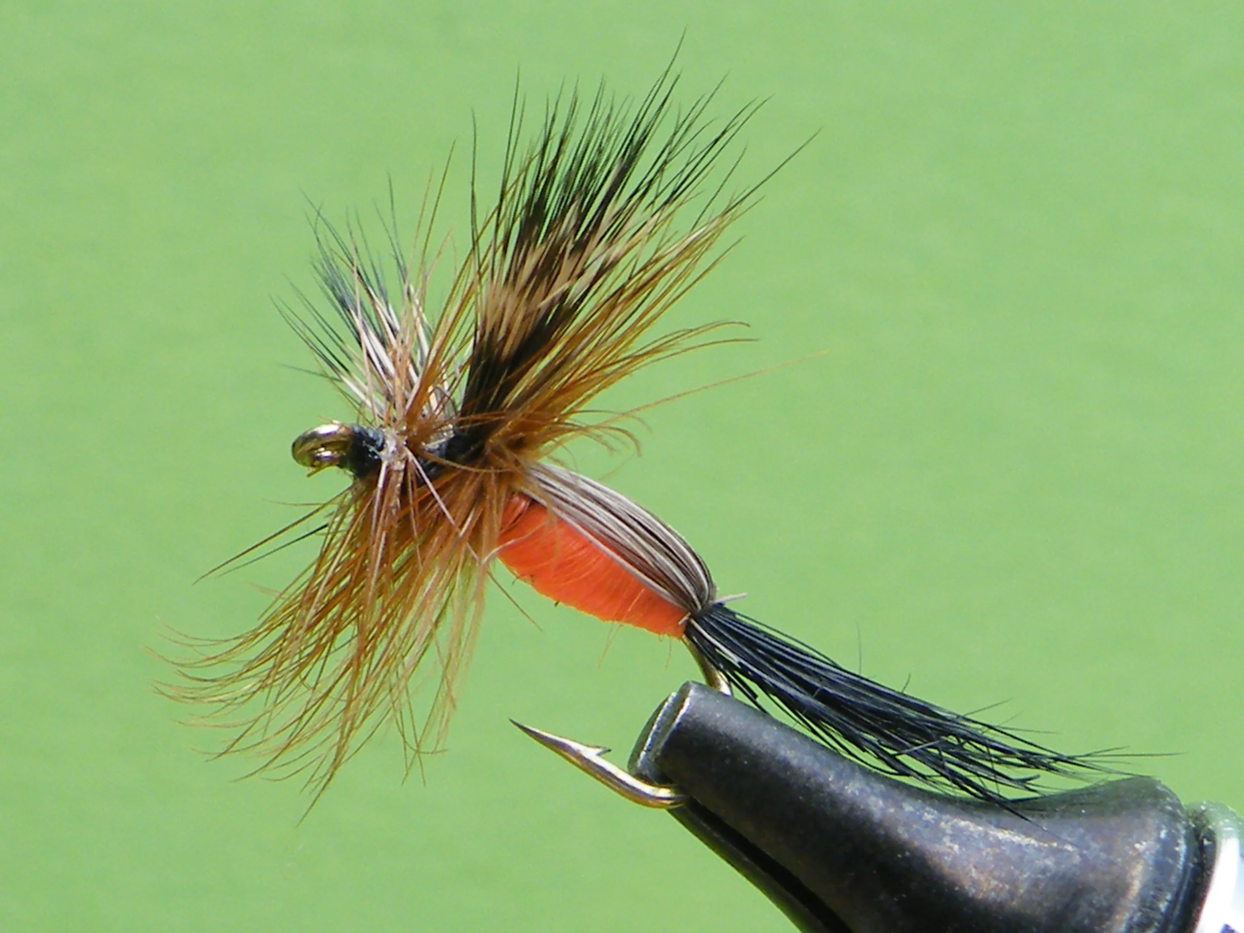 DSCF5594 Orange Humpy.JPG