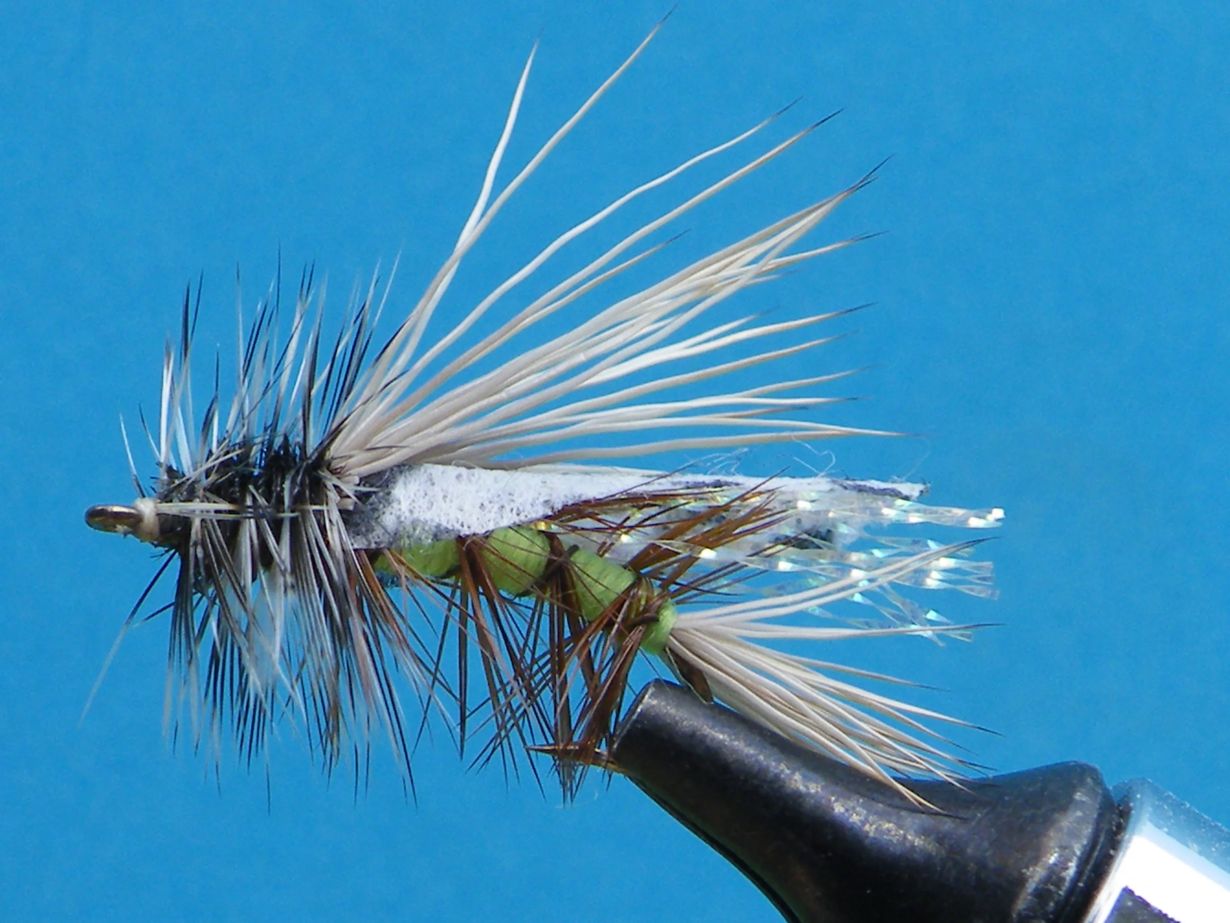 DSCF5597 Green Seducer.JPG