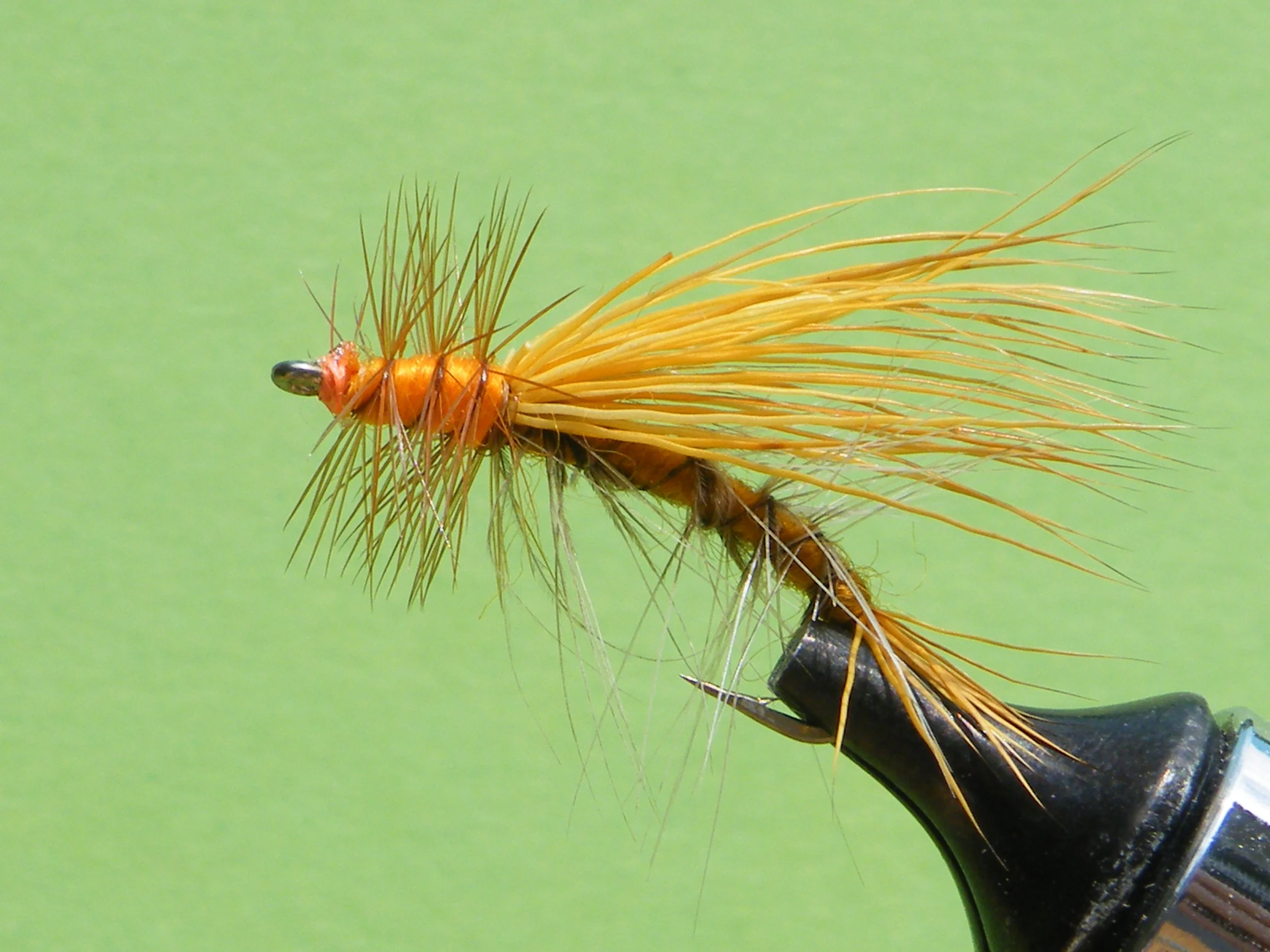 DSCF5604 Golden Stimulator.JPG