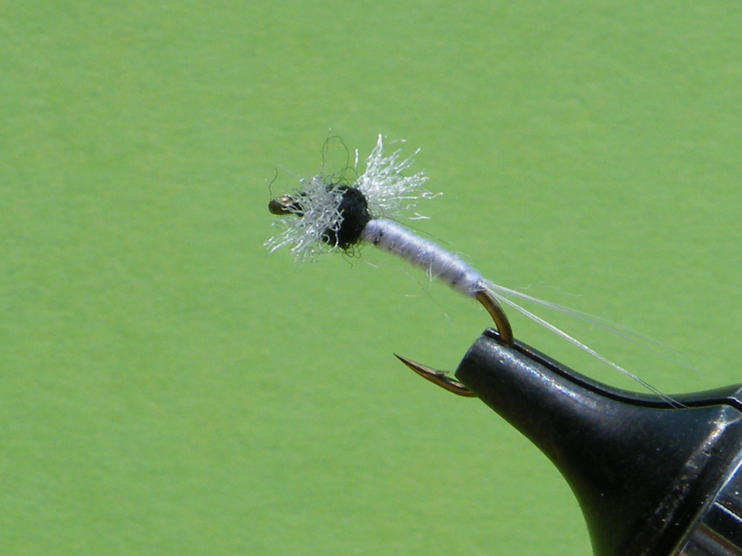 DSCF5610 Trico Spinner.JPG
