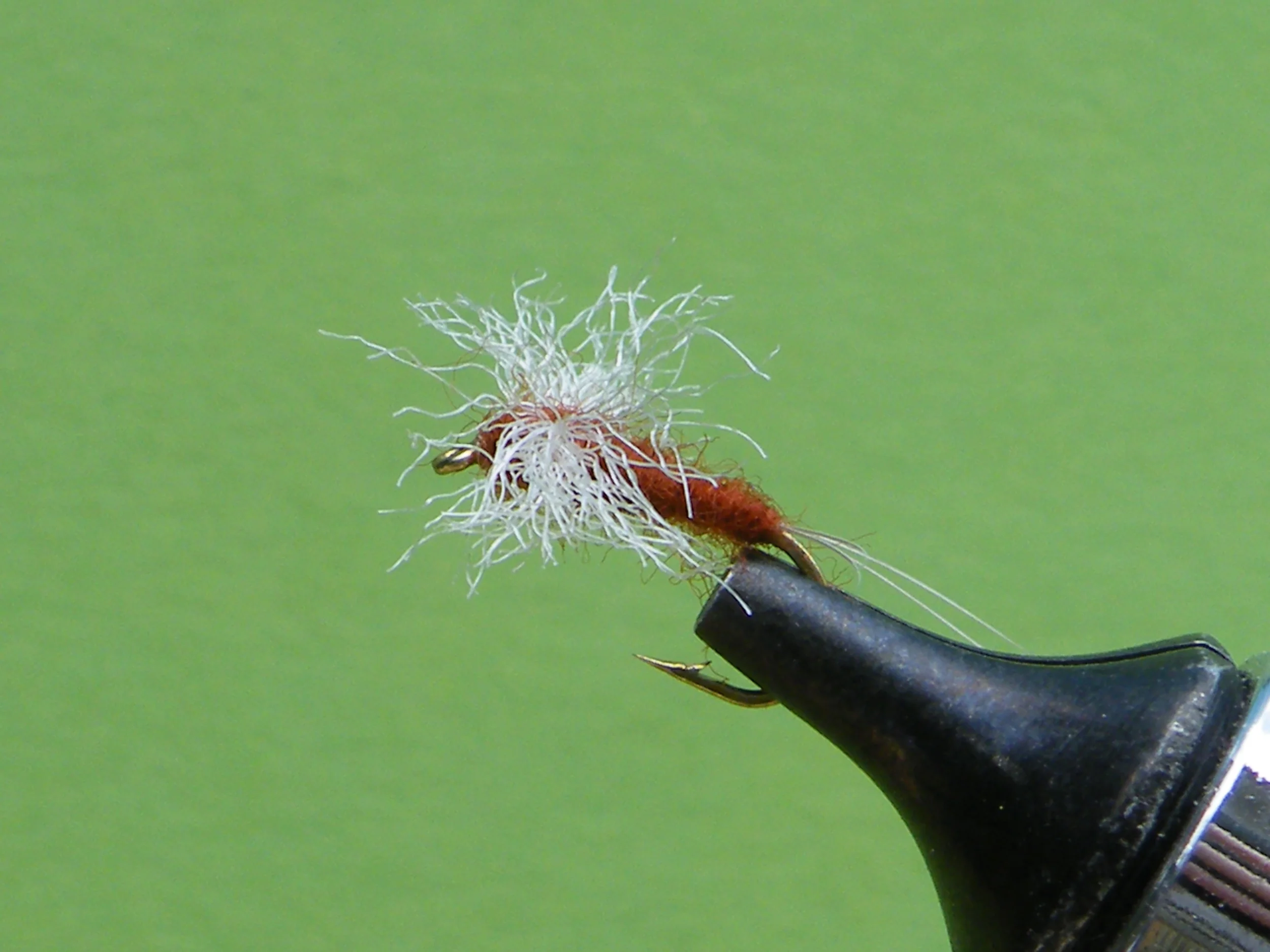 DSCF5613 Rusty Spinner.JPG