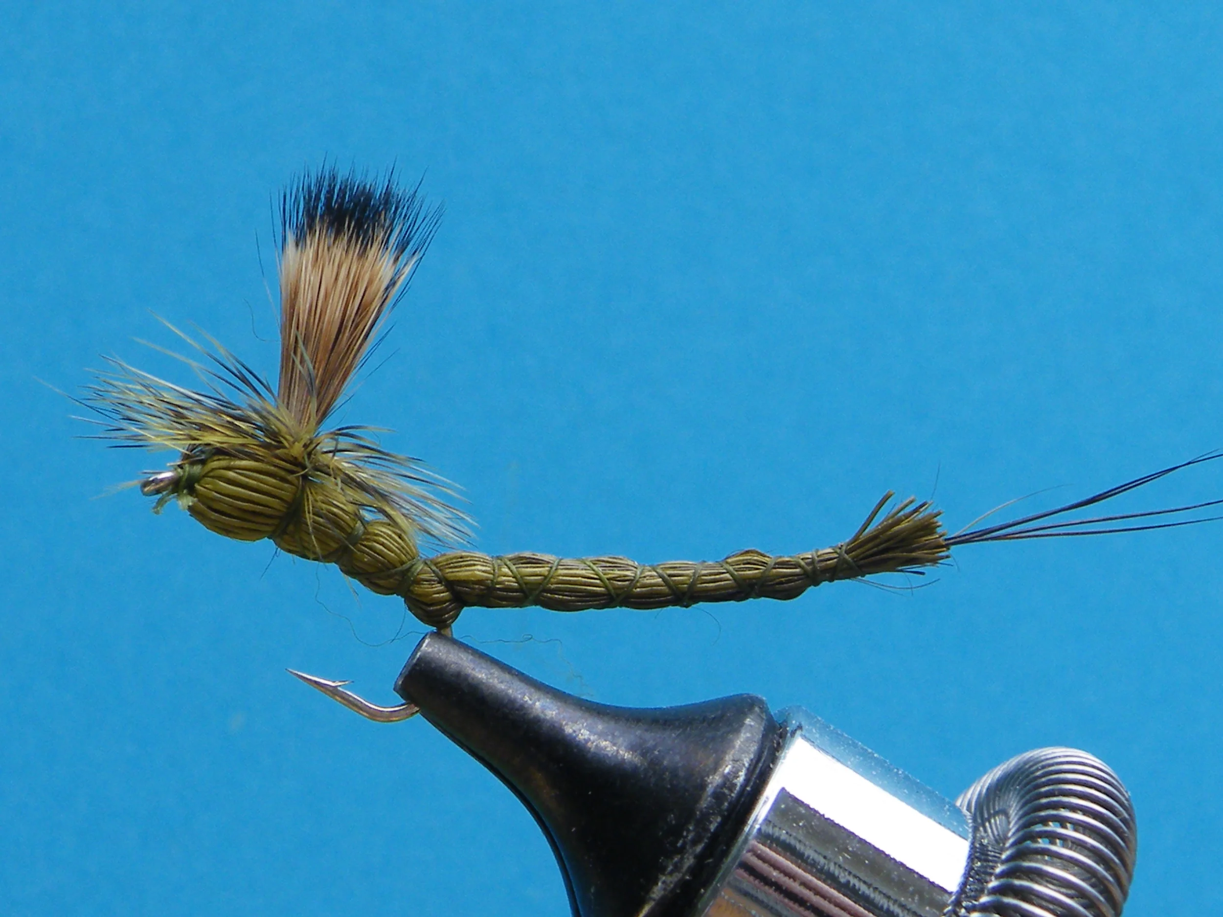 DSCF5586 Green Drake Extended Body.JPG