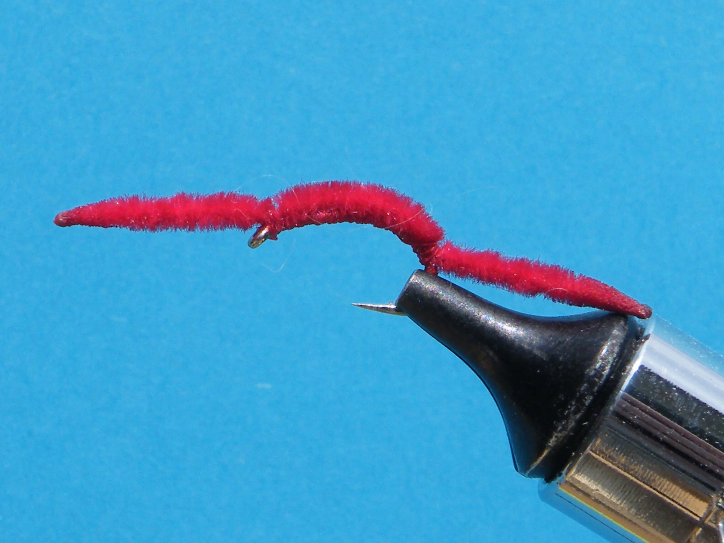 DSCF5619 Red San Juan Worm.JPG
