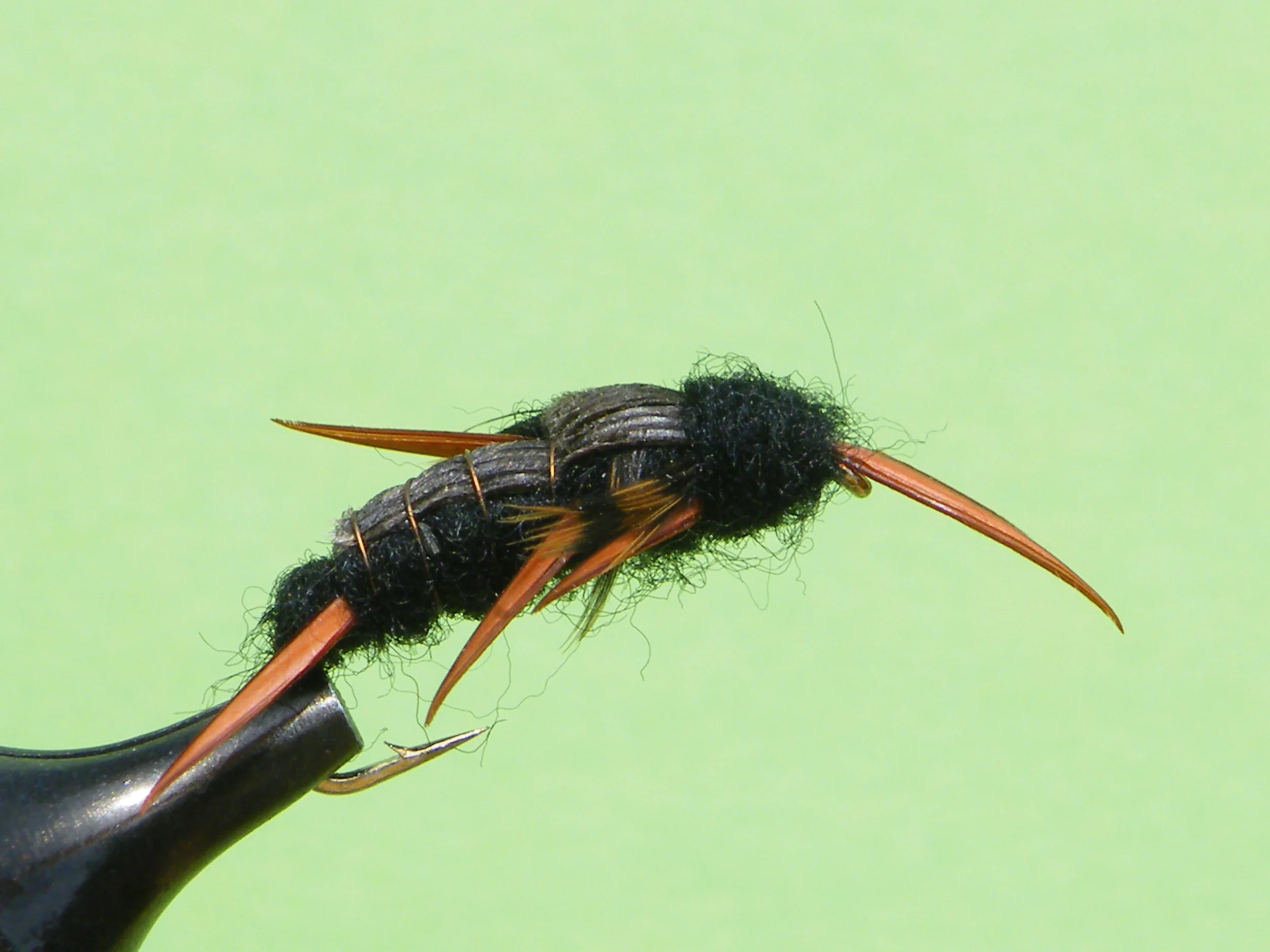 DSCF5774 Black Stonefly Nymph.JPG