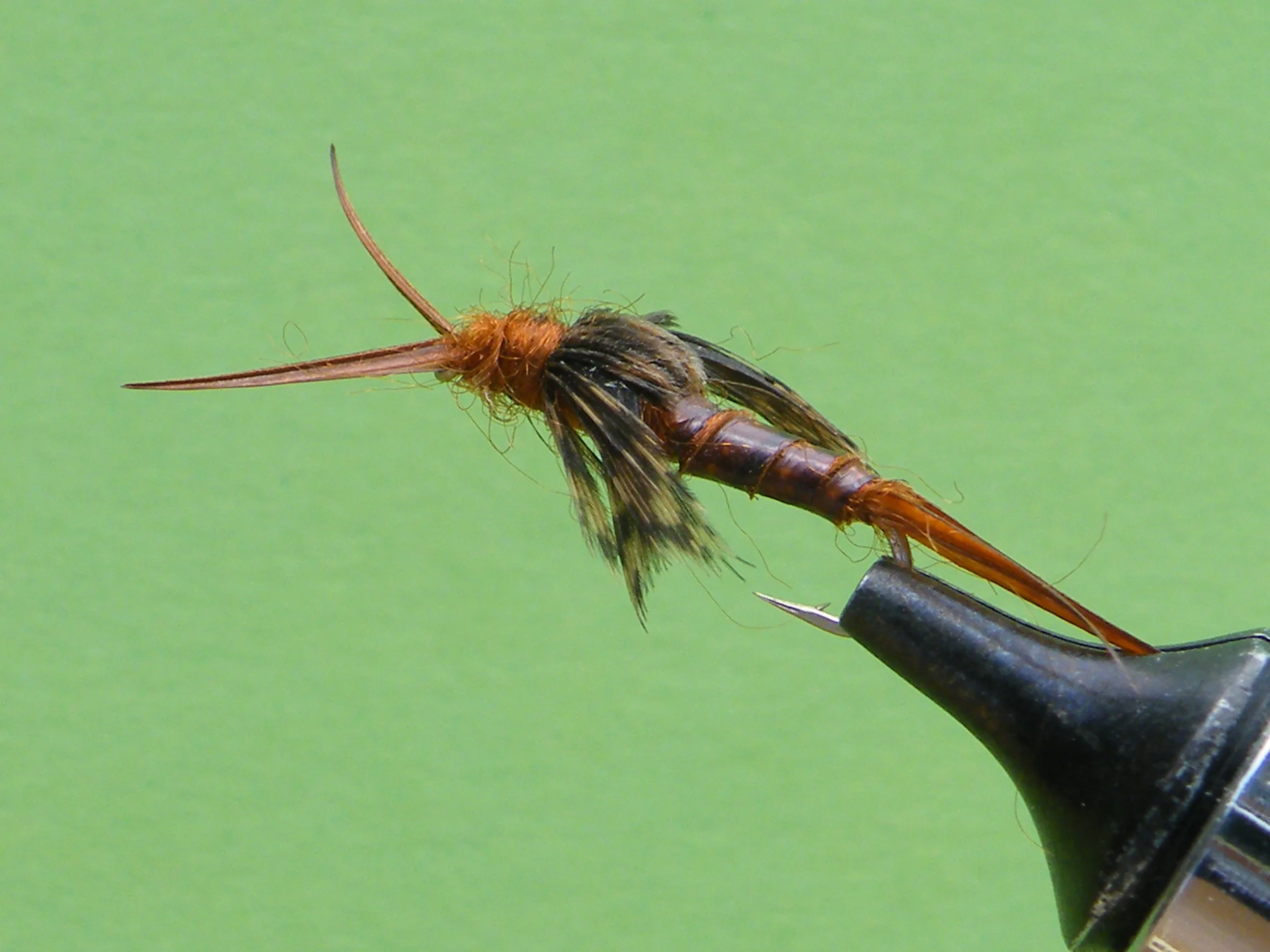 DSCF5624 Brown Poxy Biot Dark Stonefly Nymph.JPG