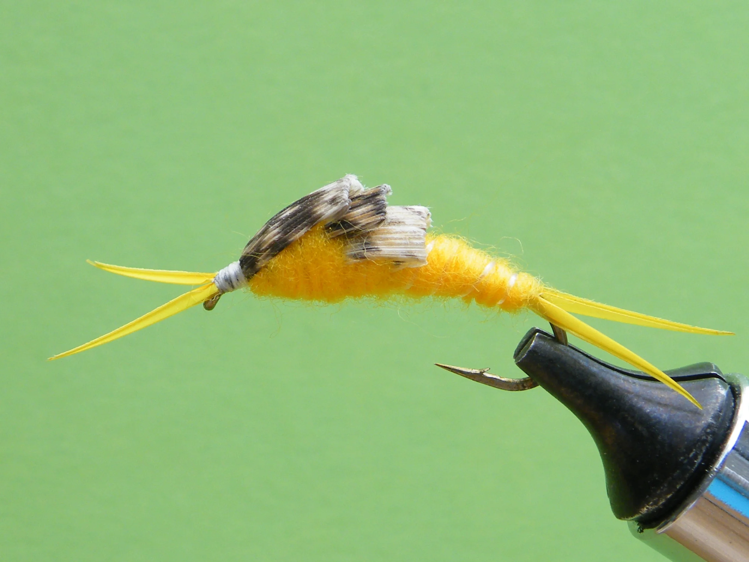 DSCF5628 Yellow Stonefly Nymph.JPG