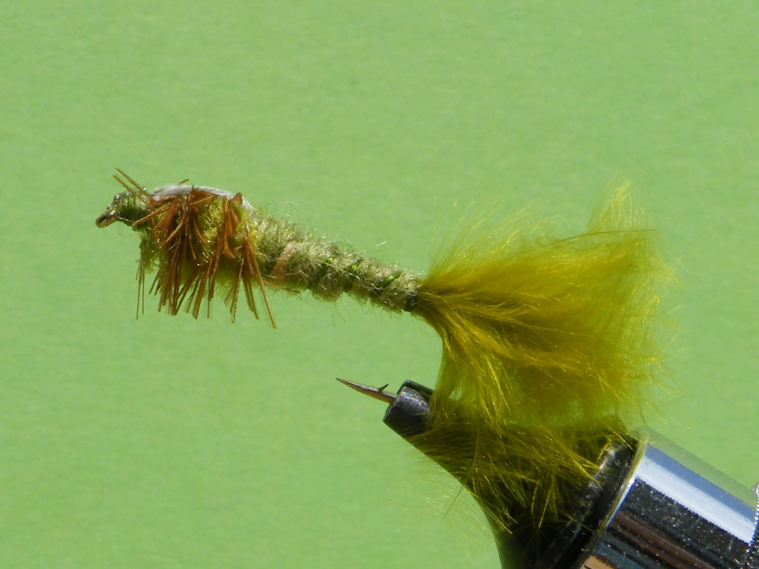 DSCF5630 Janssen Olive Damsel Fly Nymph.JPG