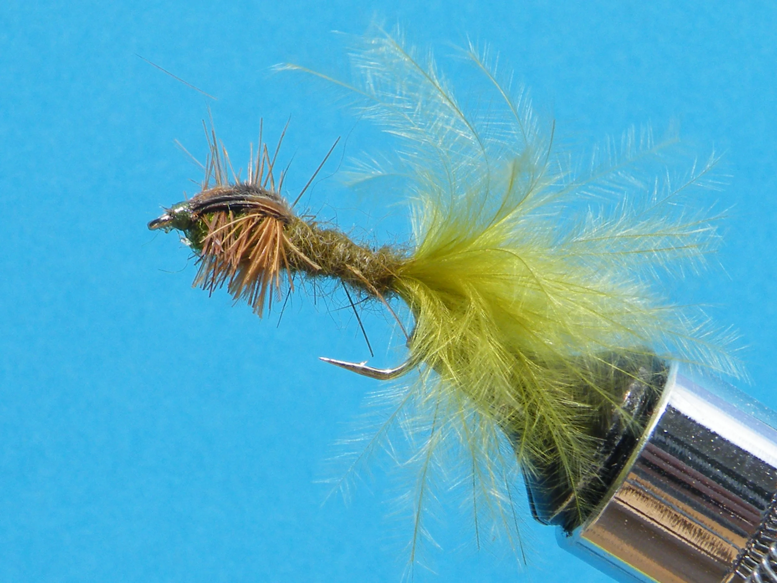 DSCF5631 Olive Damsel Fly Nymph.JPG