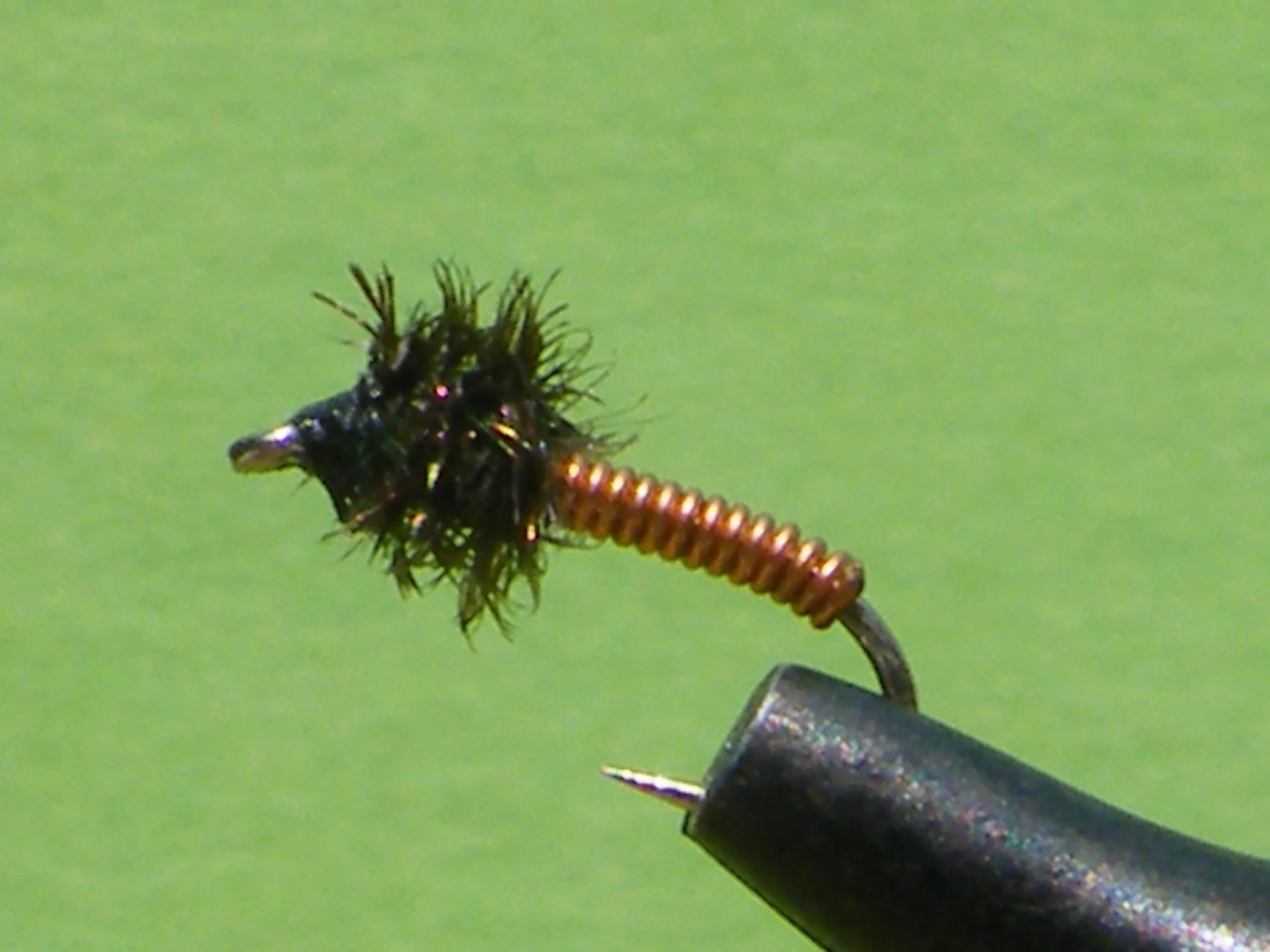 DSCF5636 Brassie.JPG