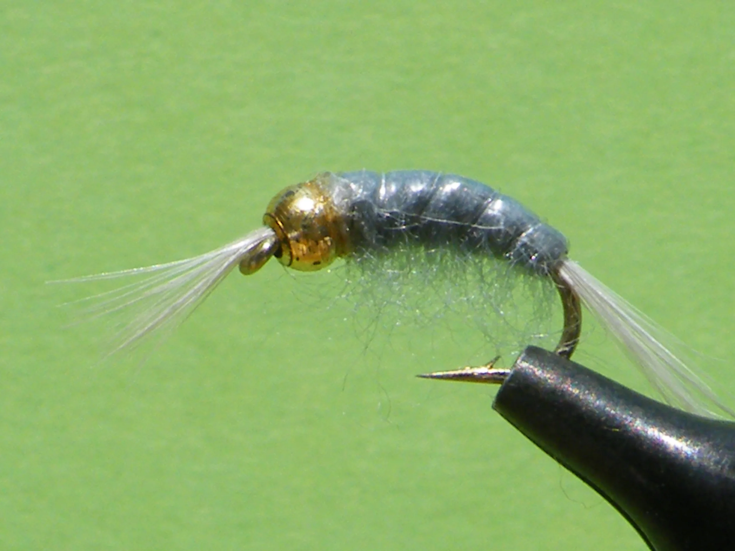 DSCF5658 Grey Scud Bead Head.JPG