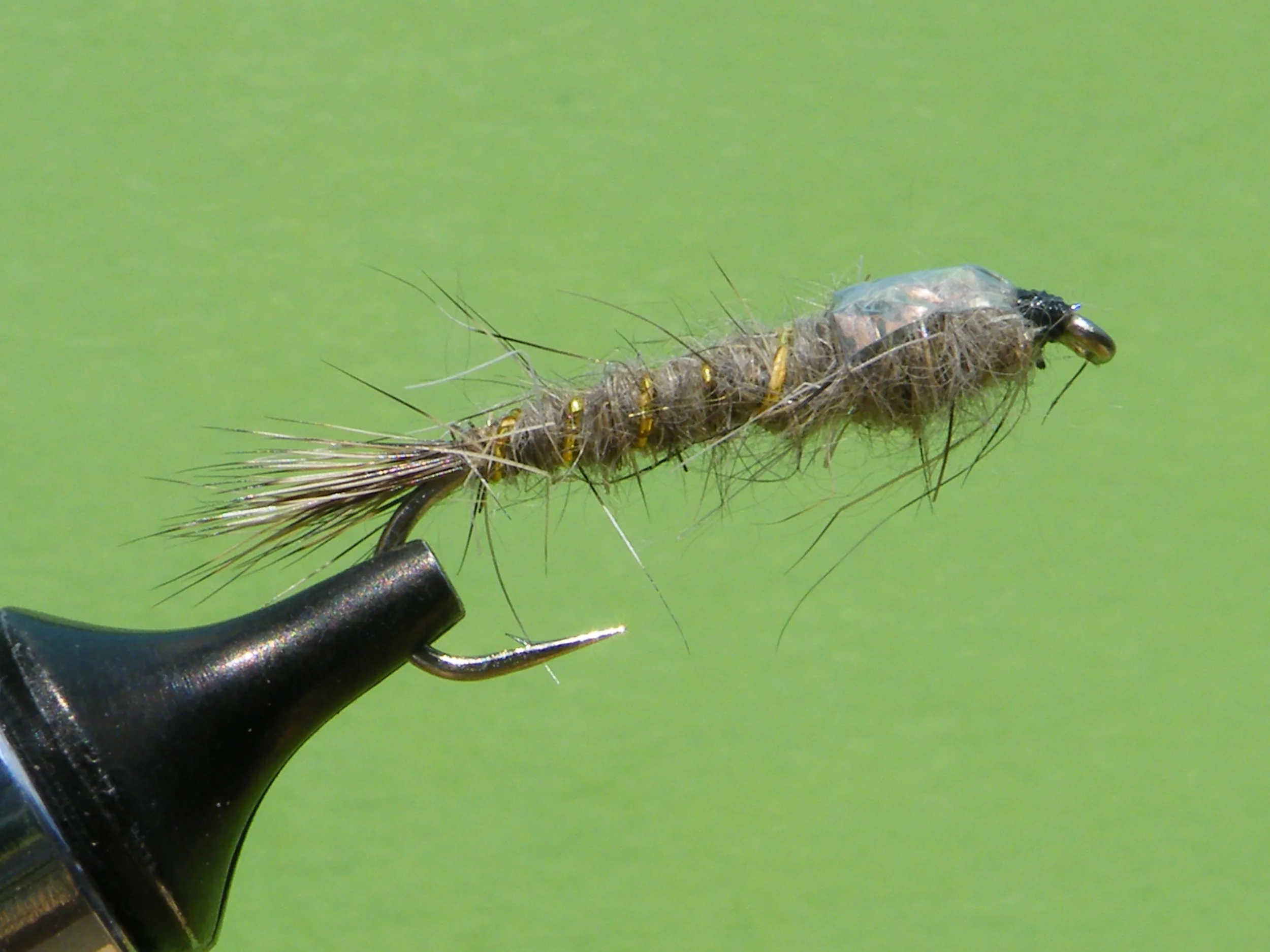 DSCF5660 Hare's Ear Flashback.JPG