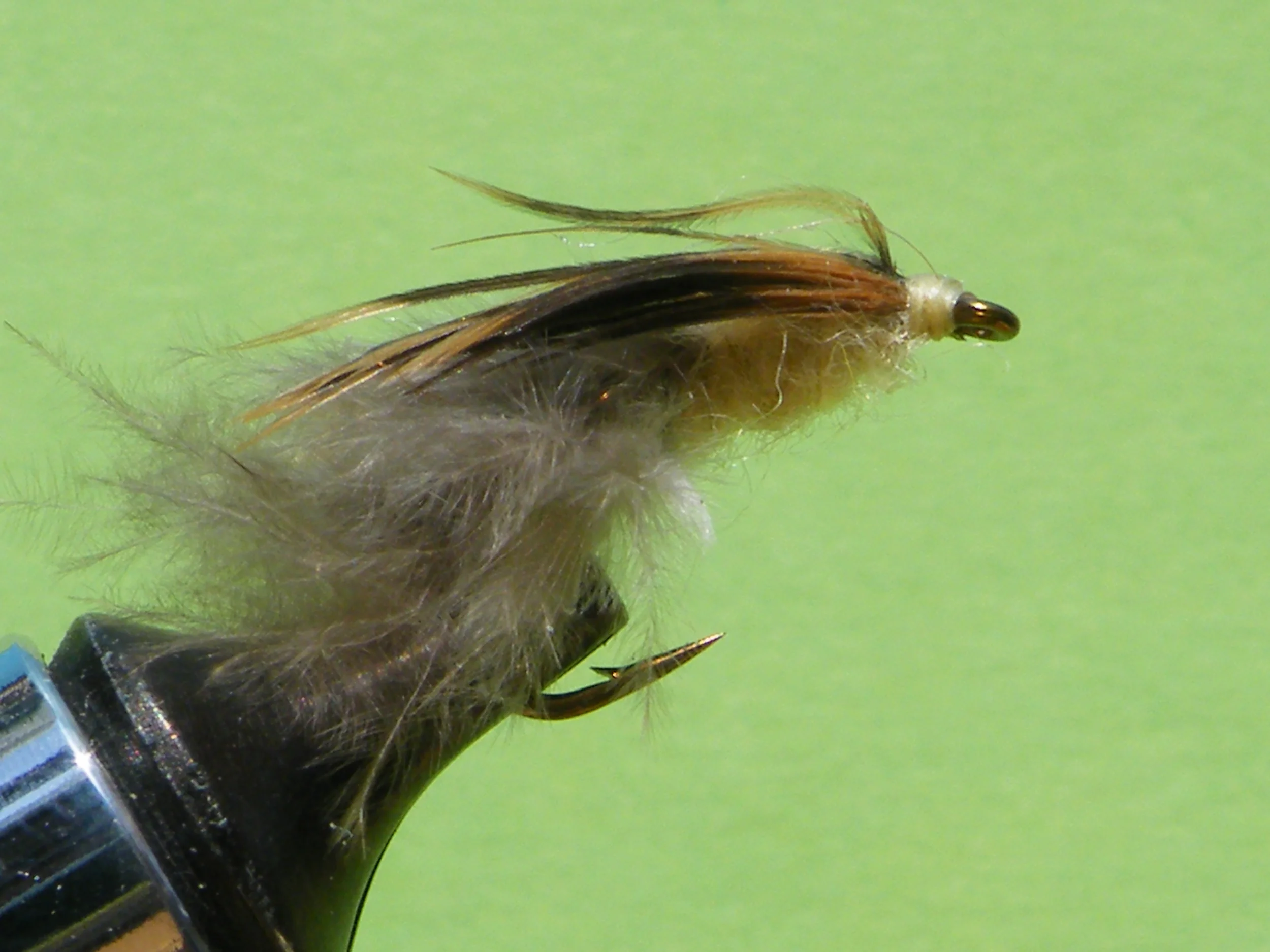 DSCF5662 Hexagenia.JPG