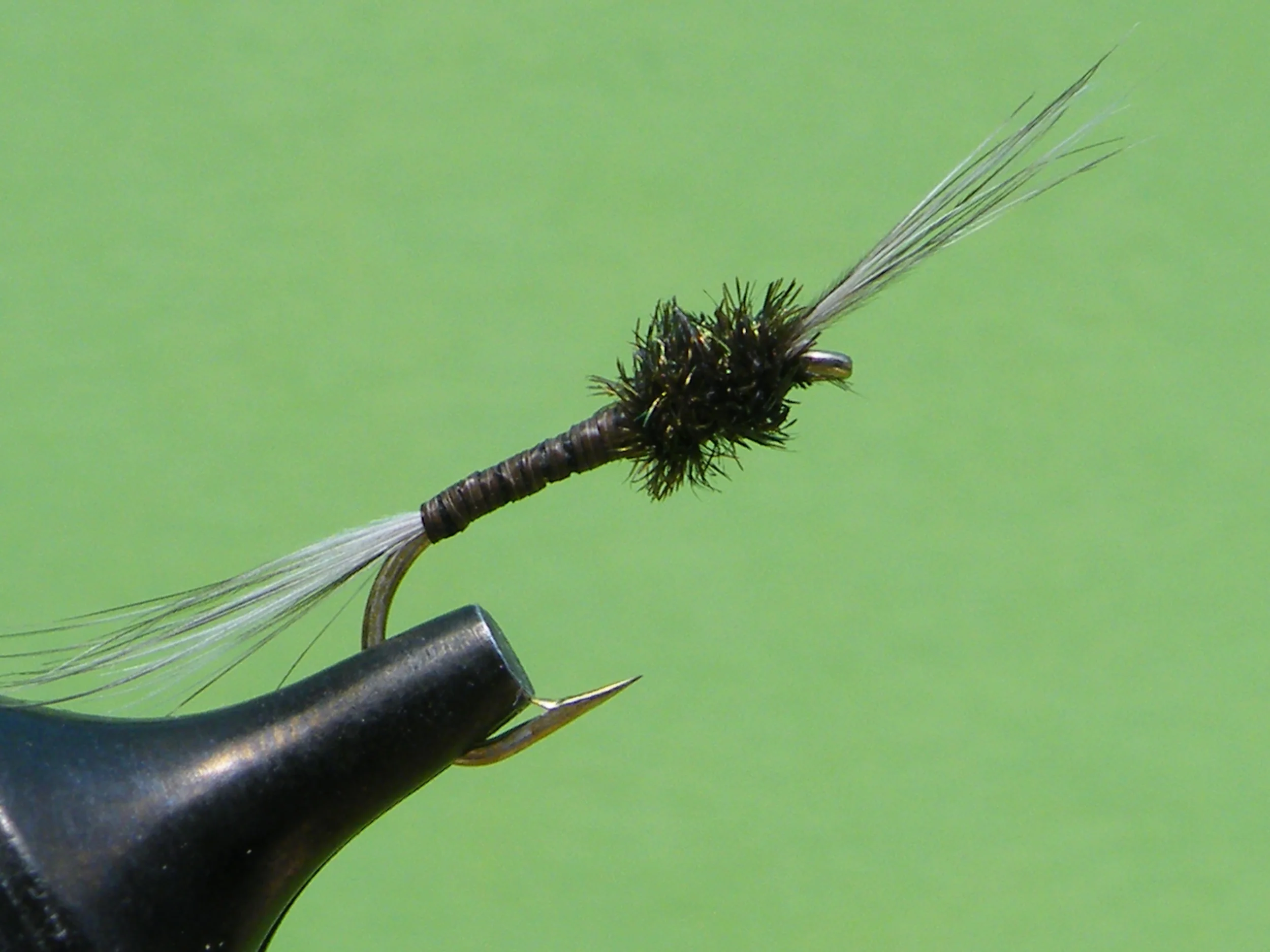DSCF5665 Mosquito Larva.JPG