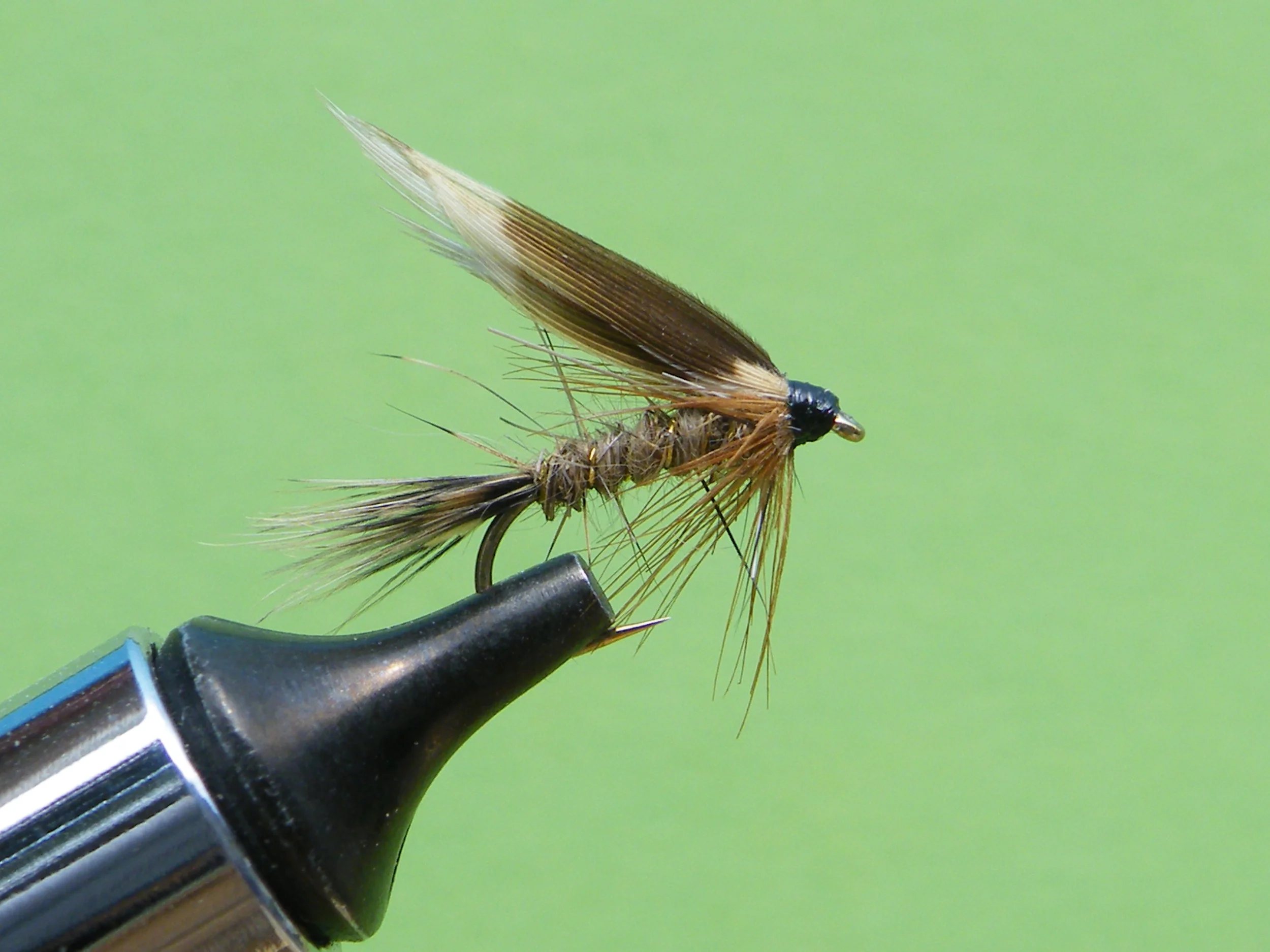 DSCF5668 March Brown Nymph.JPG