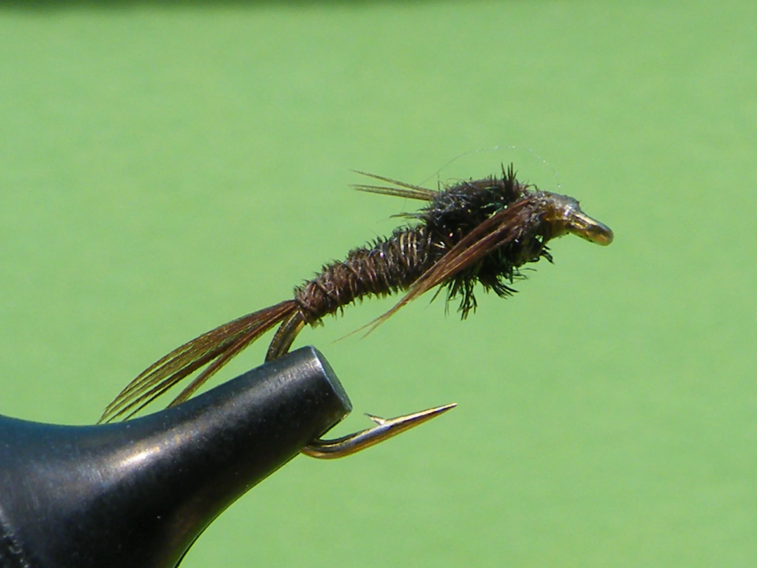 DSCF5672 Pheasant tail Nymph.JPG