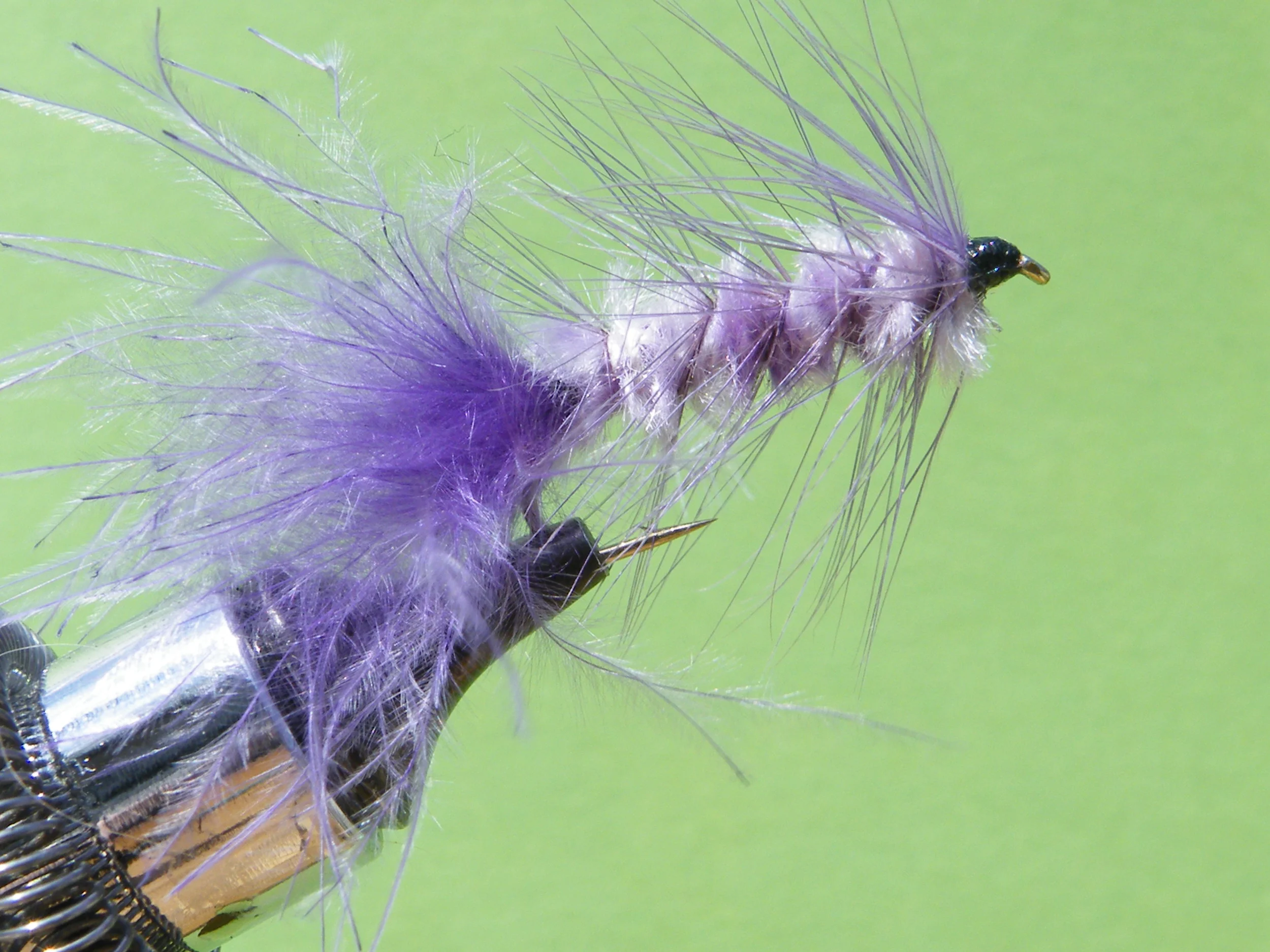 DSCF5784 Purple Woolly Bugger.JPG