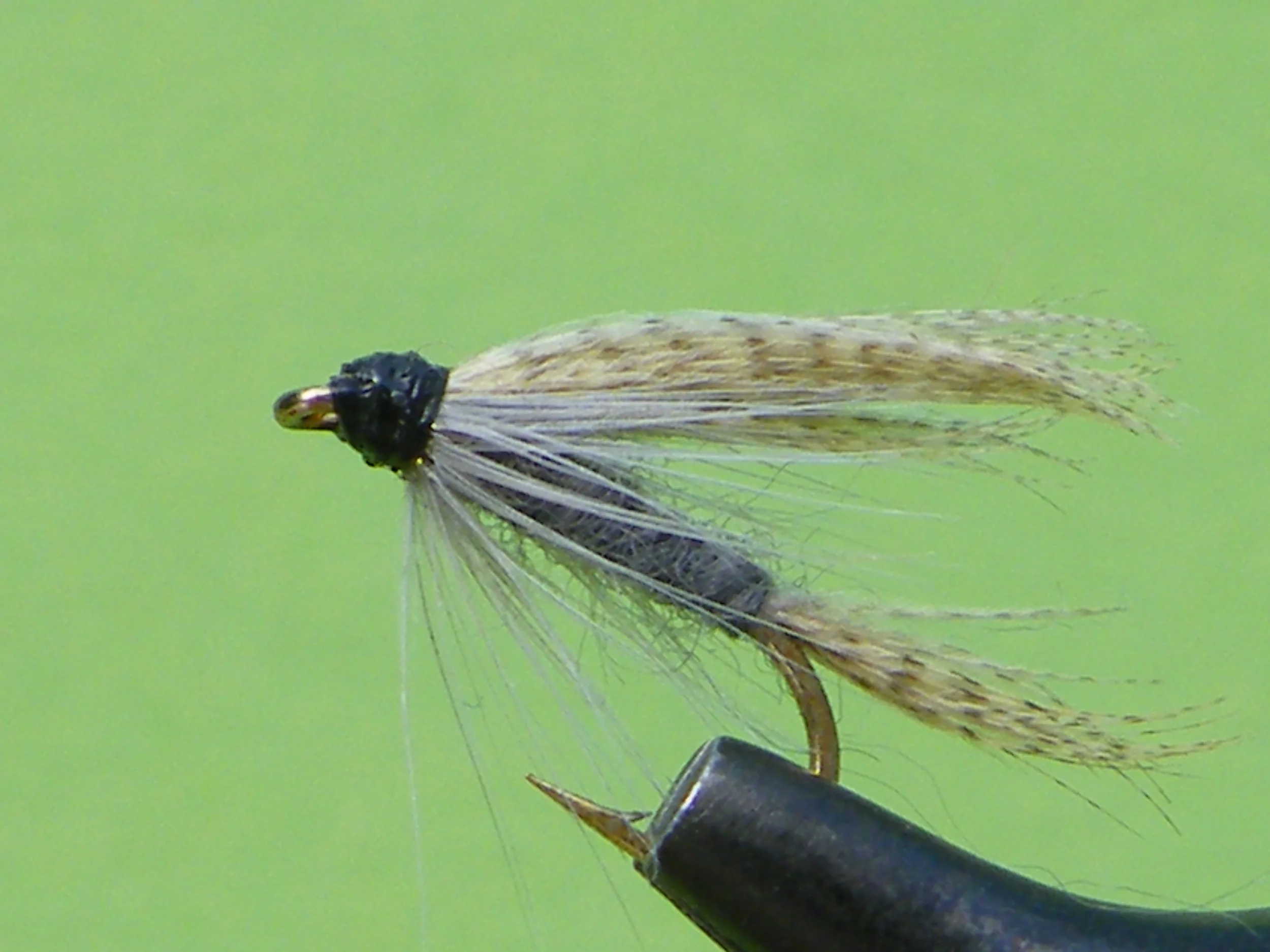 DSCF5730 Dark Hendricksen Wet.JPG