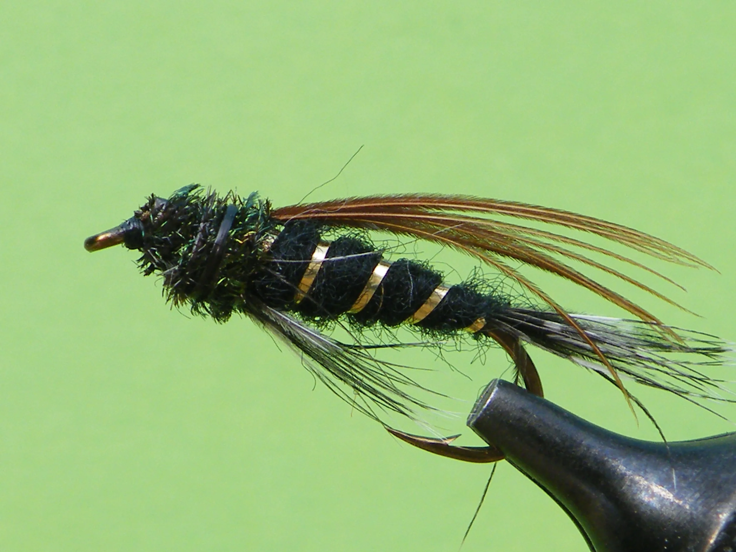 DSCF5733 Black Doc Spratley.JPG