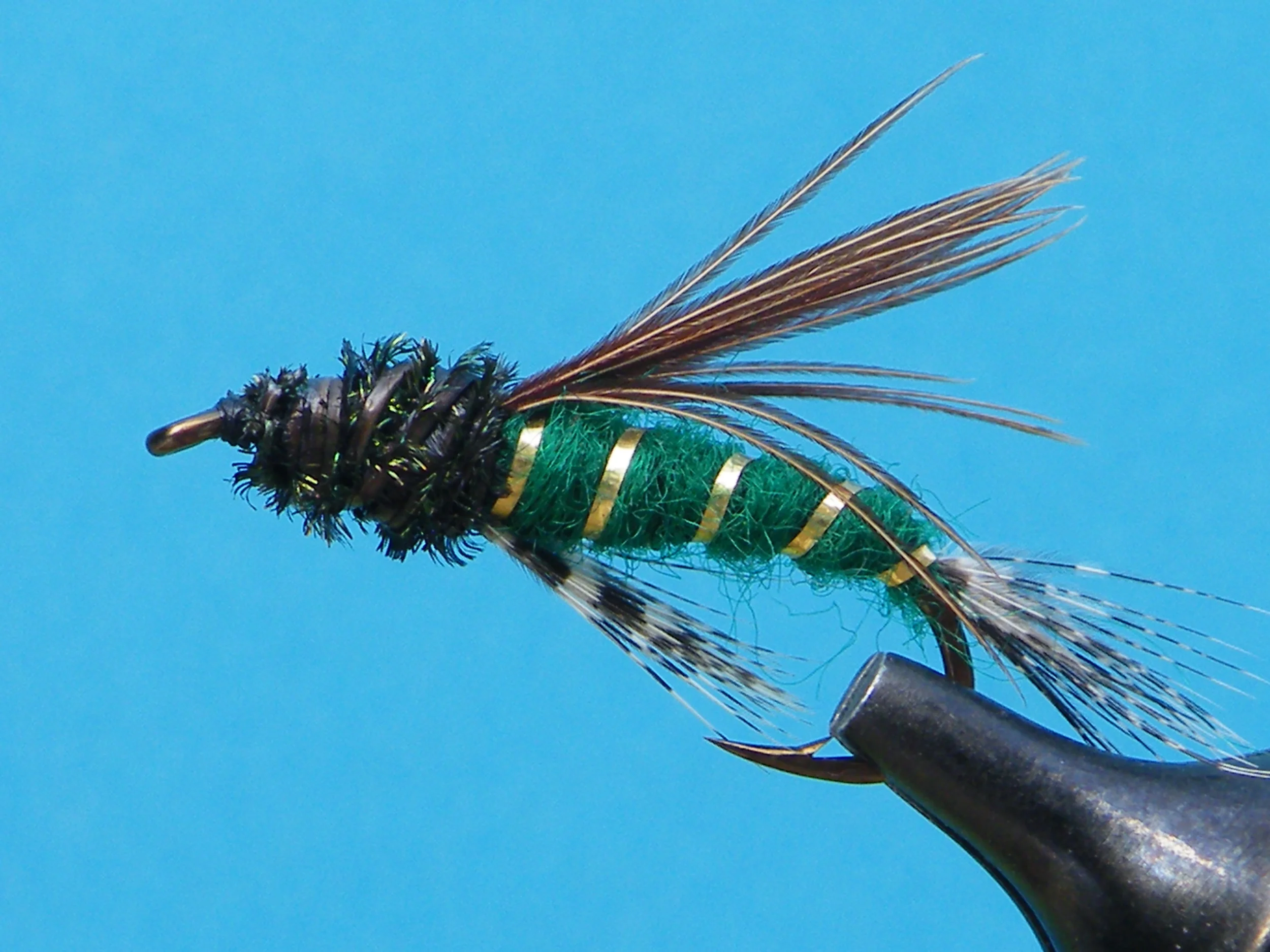 DSCF5735 Green Doc Spratley.JPG