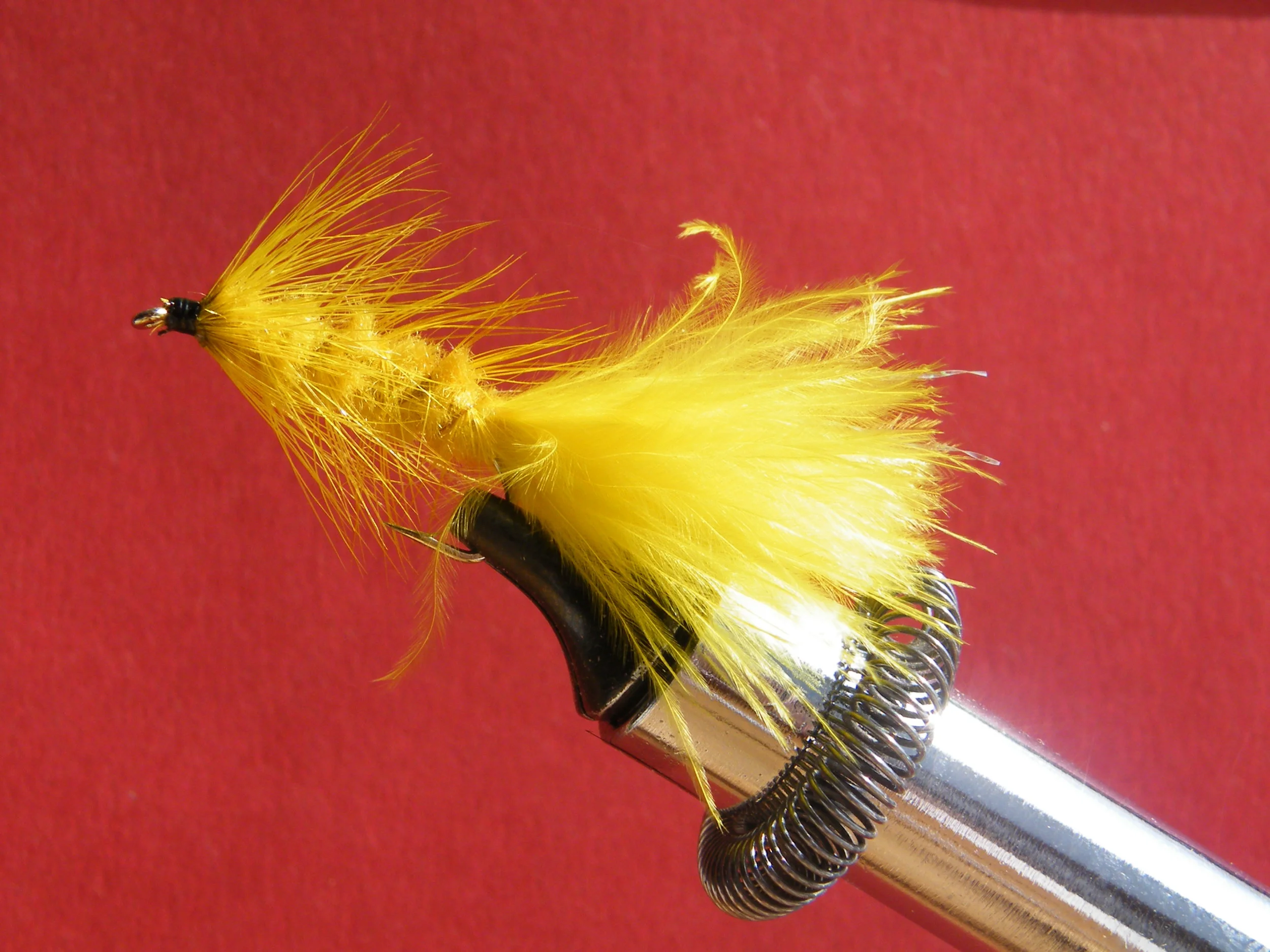 Yellow Woolly Bugger DSCF5790.JPG