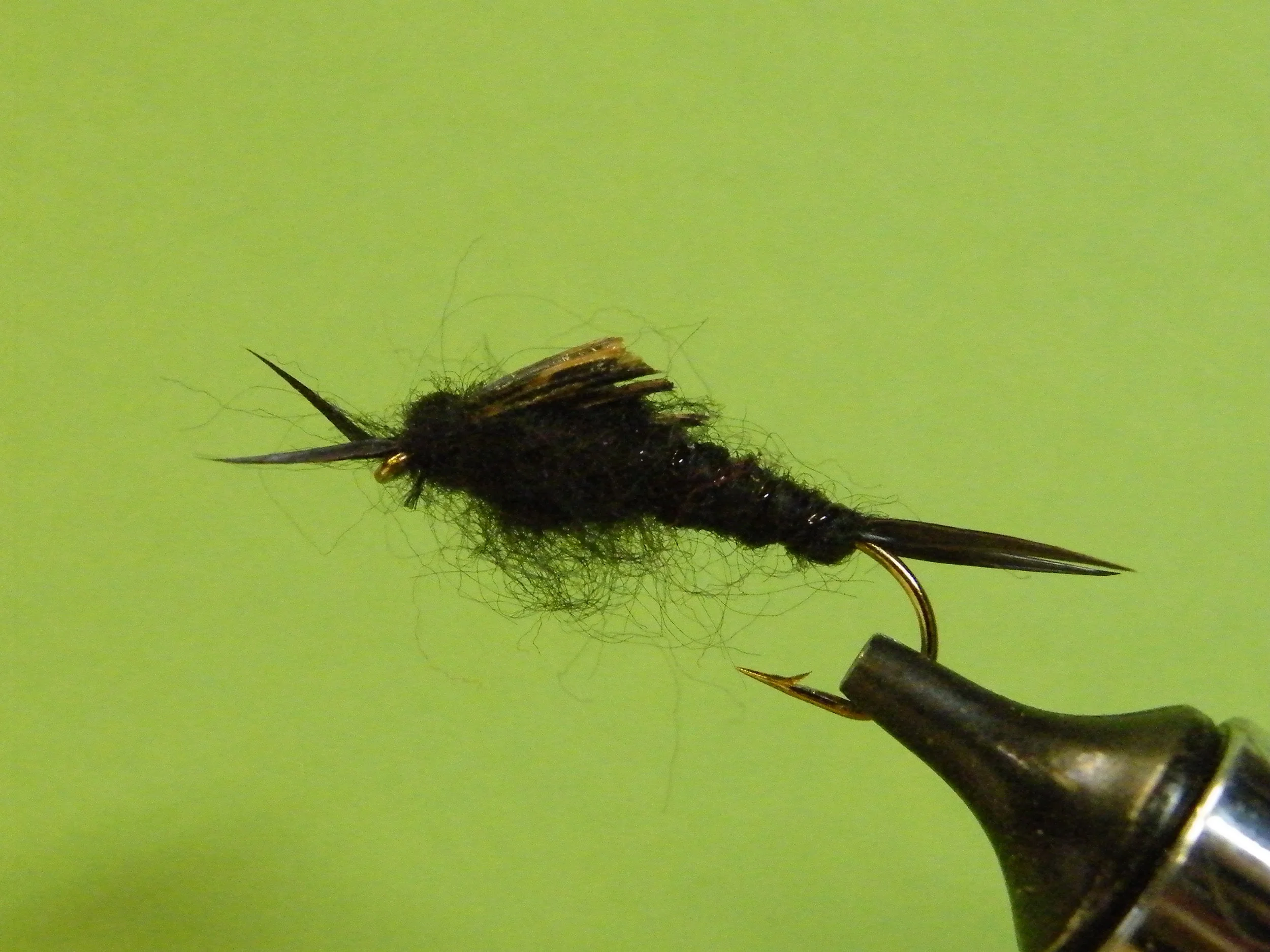 Kaufman Stonefly Nymph DSCF5793.JPG