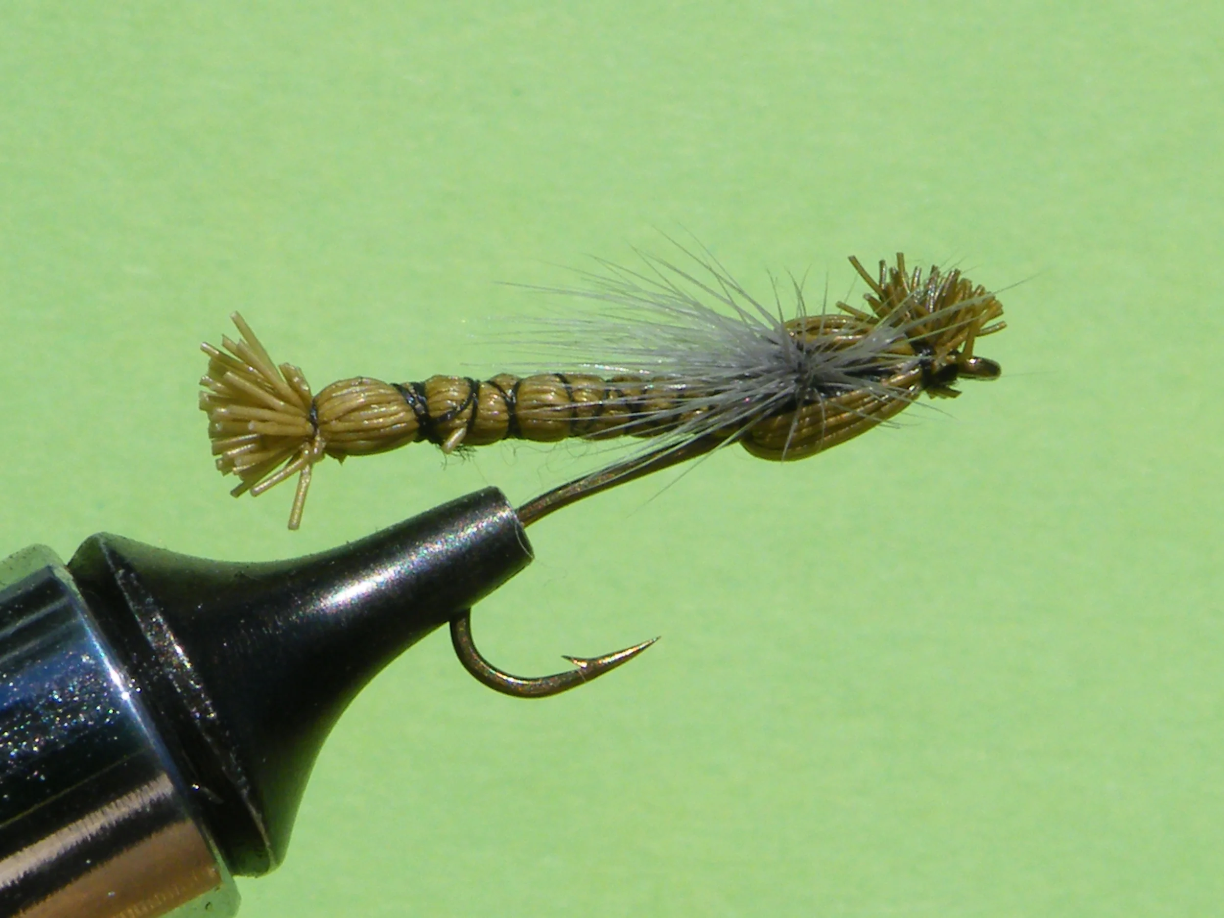 OLIVE DAMSELFLY DSCF5840.JPG