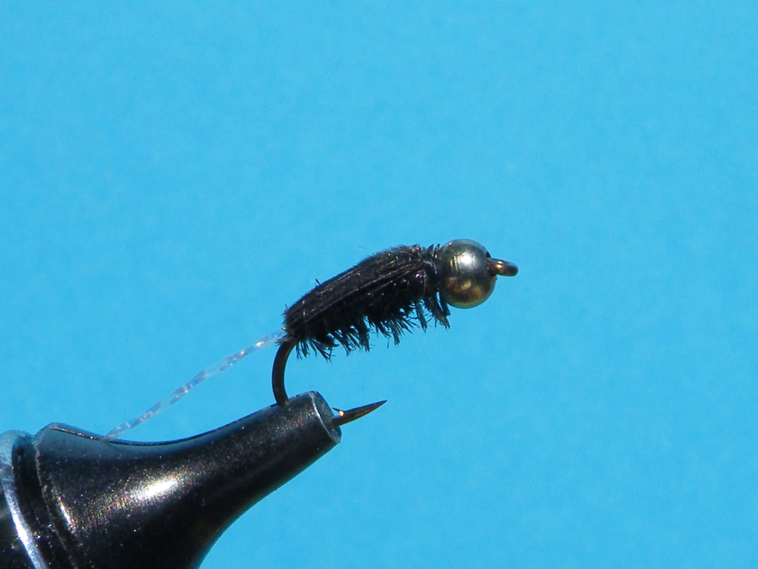 BLACK THEO BOATMAN DSCF5847.JPG