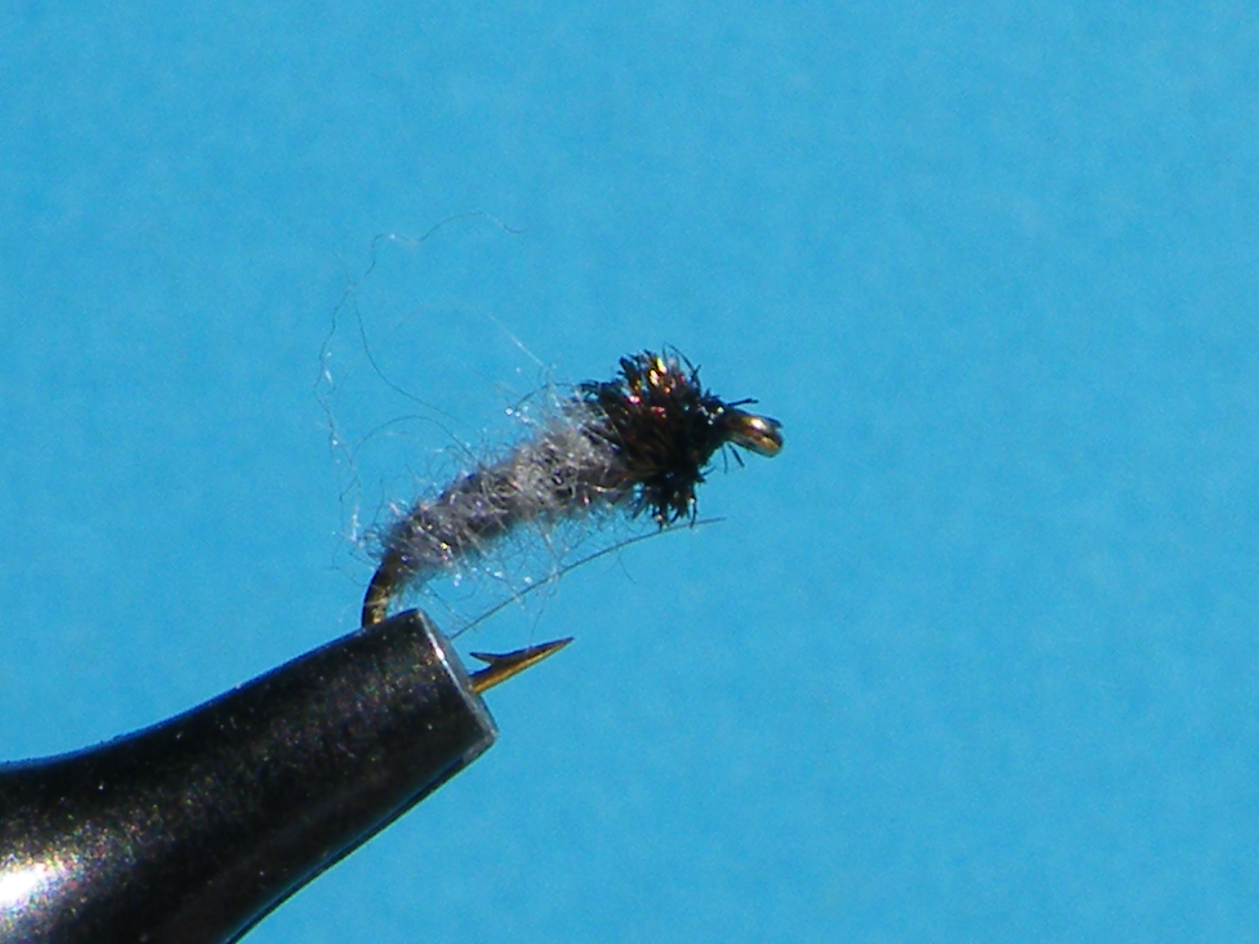 GREY MIDGE NYMPH DCFC5852.JPG