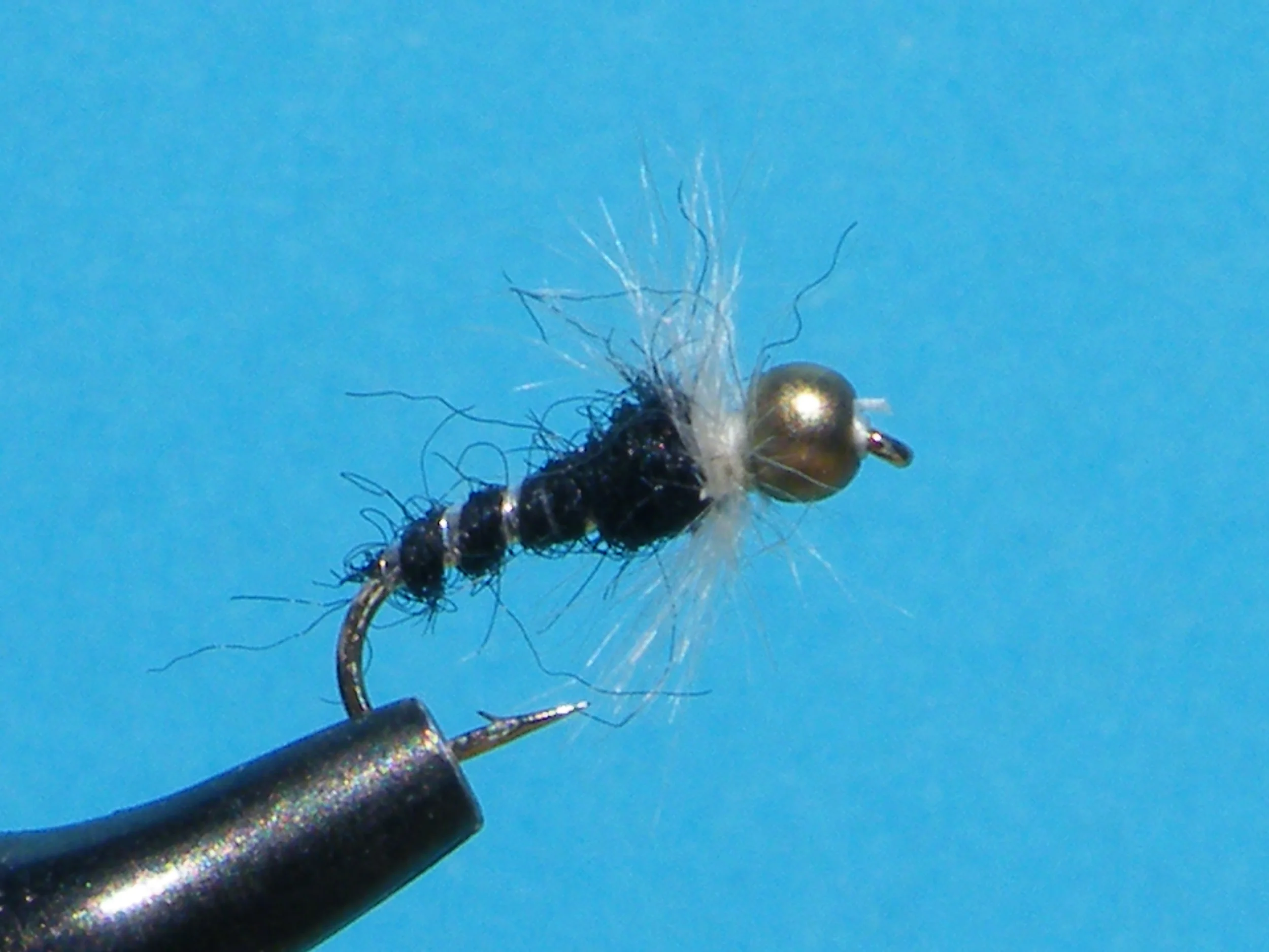 TDC NYMPH BEAD HEAD DSCF5846.JPG