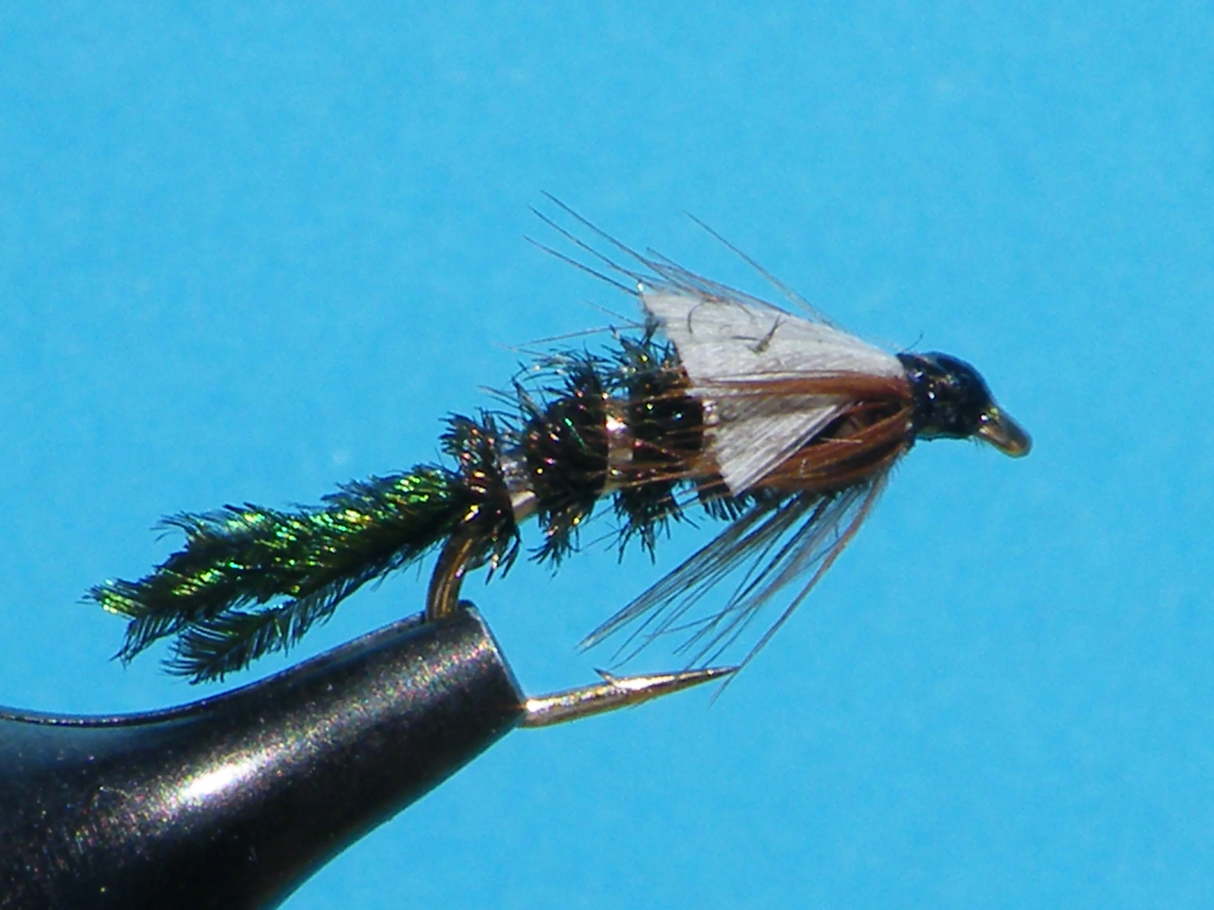 ZUG BUG DSCF5848.JPG