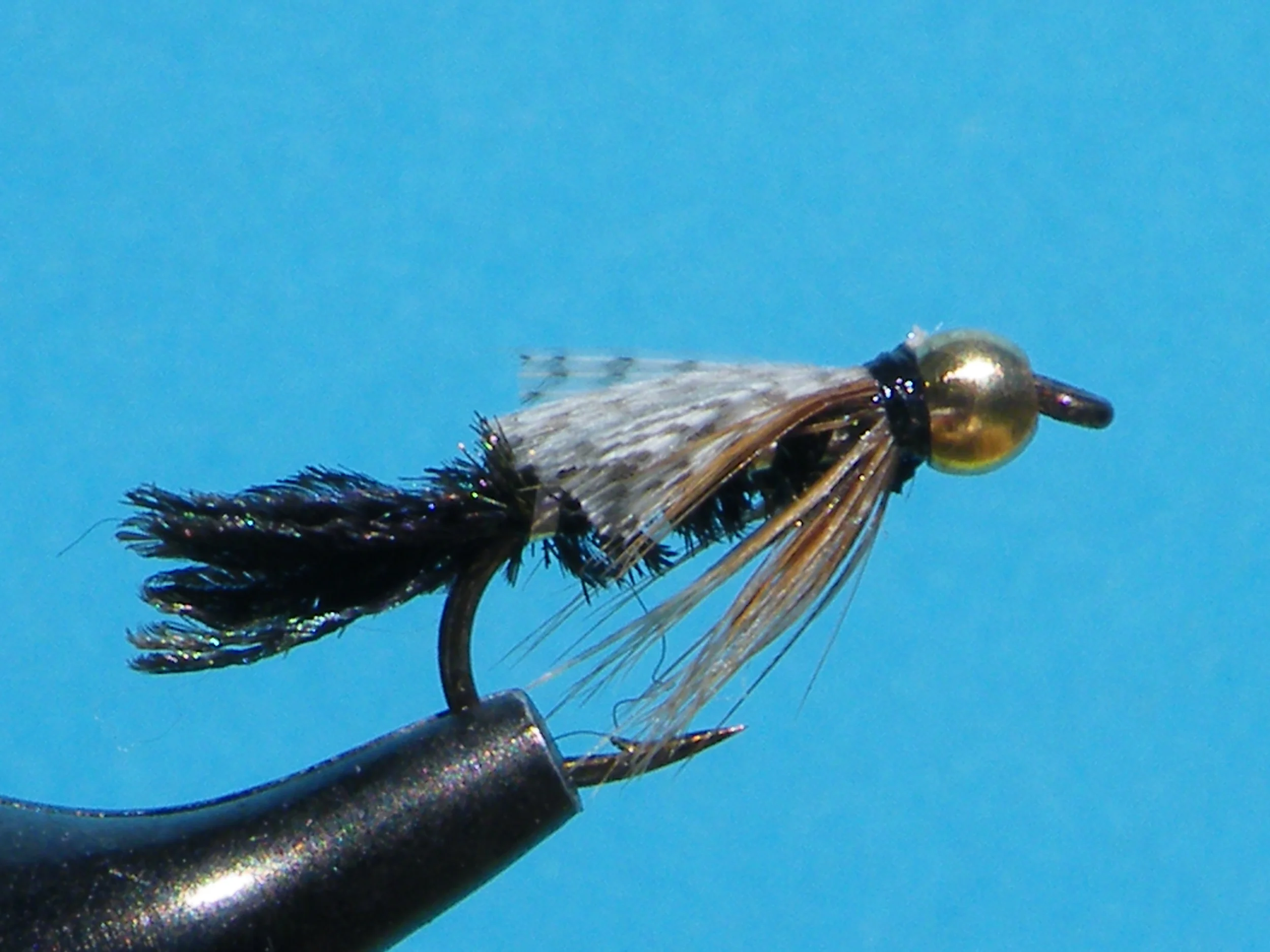 ZUG BUG BEAD HEAD DSCF5849.JPG