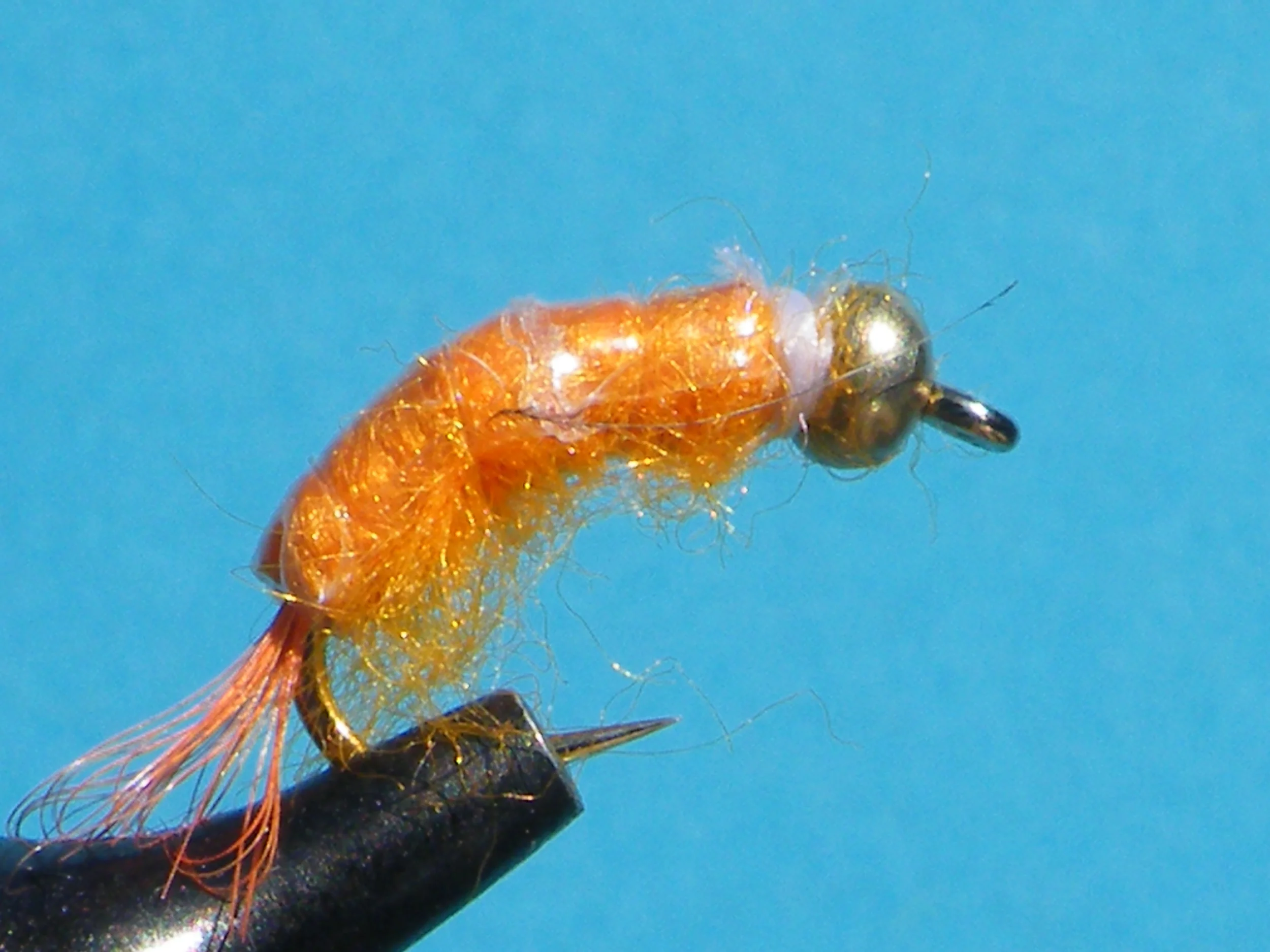 ORANGE SCUD BEAD HEAD DSCF5865.JPG