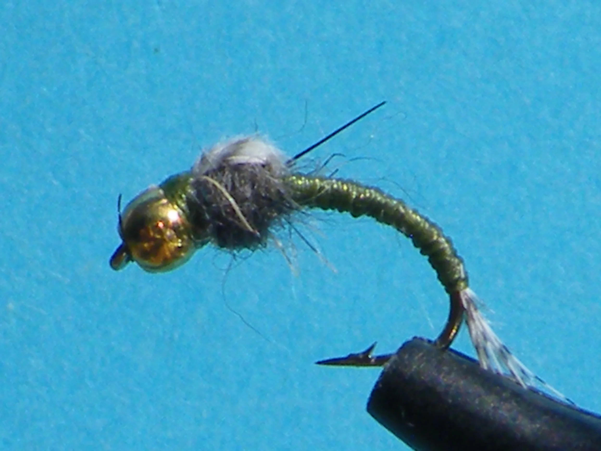 OLIVE WD40 BEAD HEAD NYMPH DSCF5867.JPG