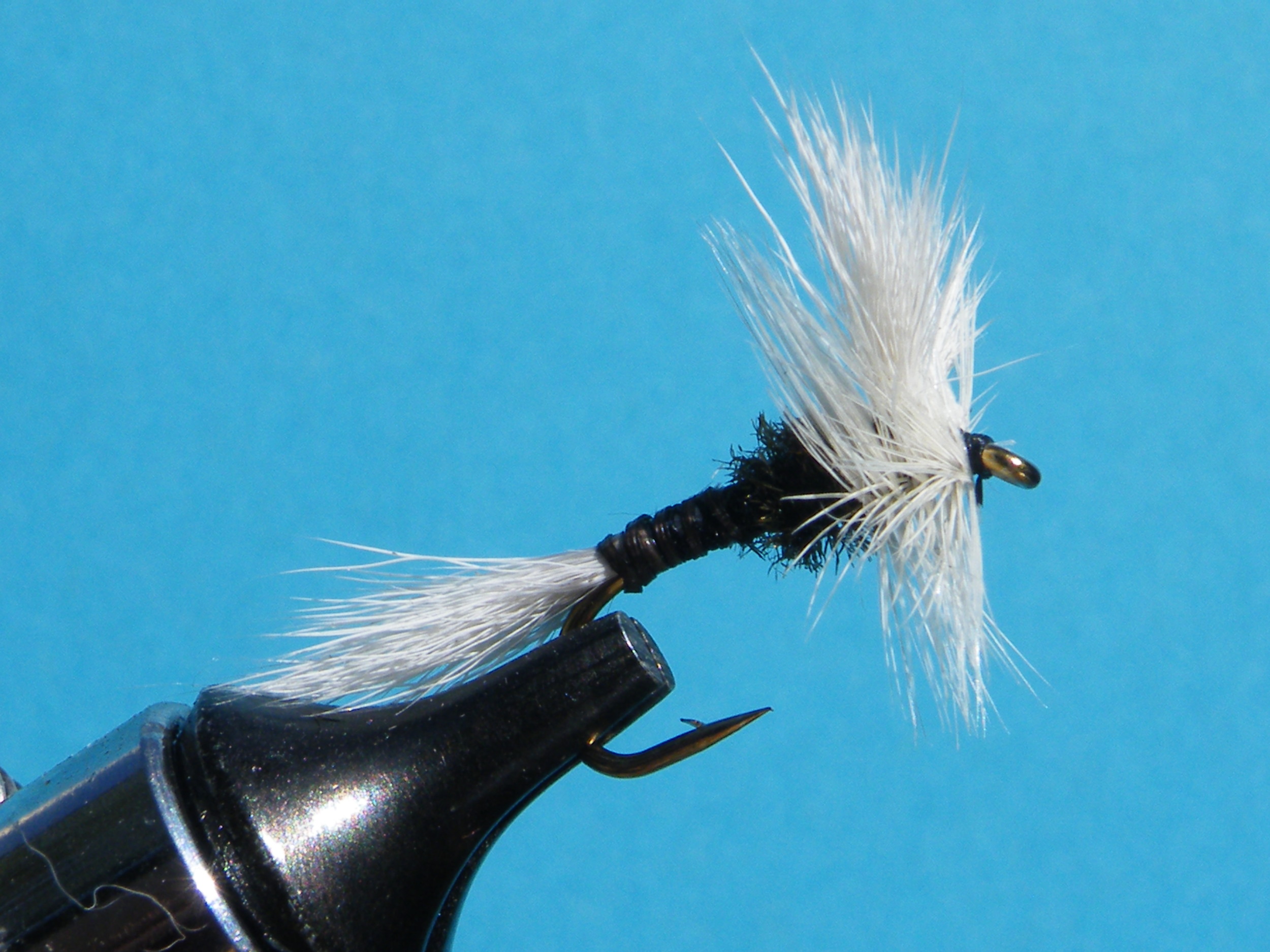 CREAM H&L VARIANT DSCF5855.JPG