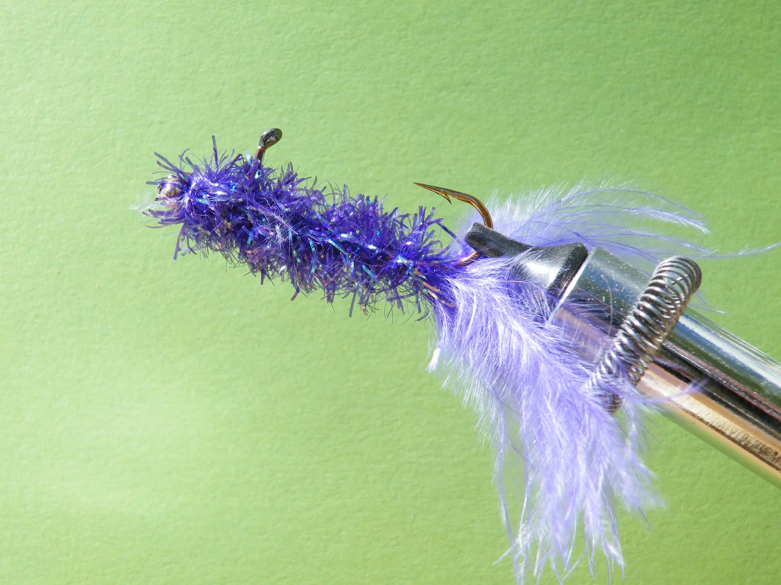 PURPLE  BALANCED LEECH DSCF5875 (3).JPG