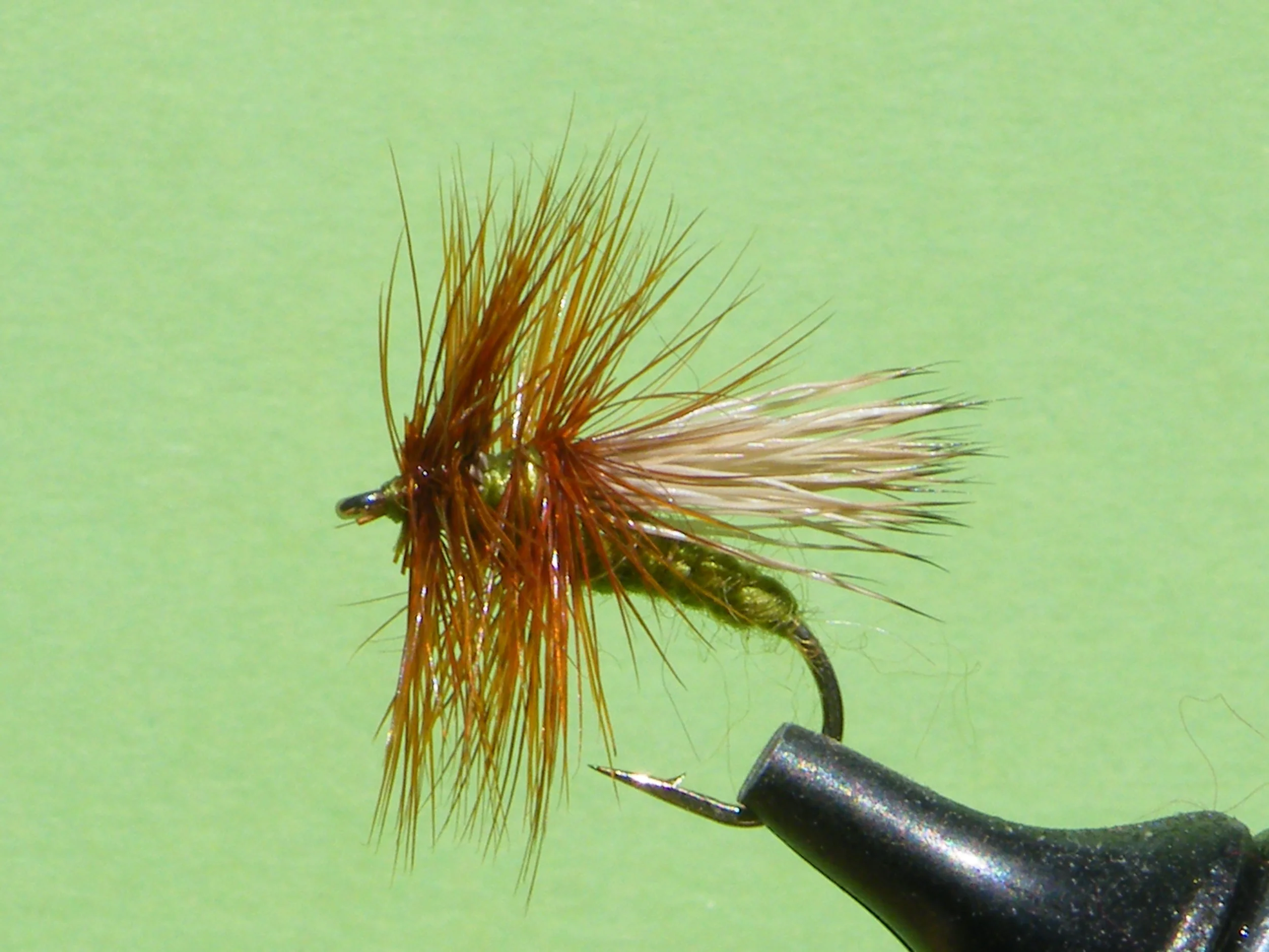 OLIVE HAIR WING CADDIS.JPG