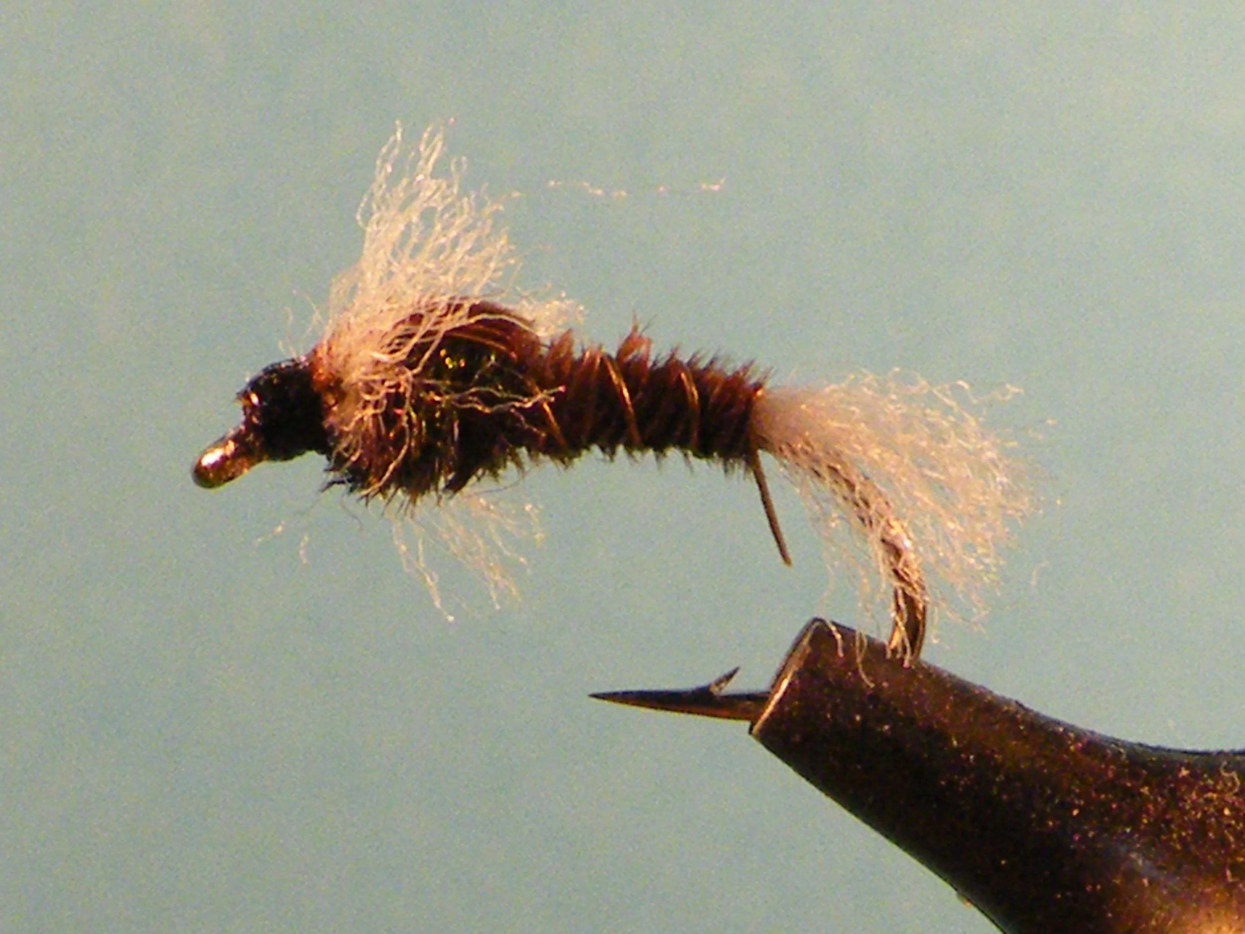 Chan's White Tail Chironomid(1).JPG