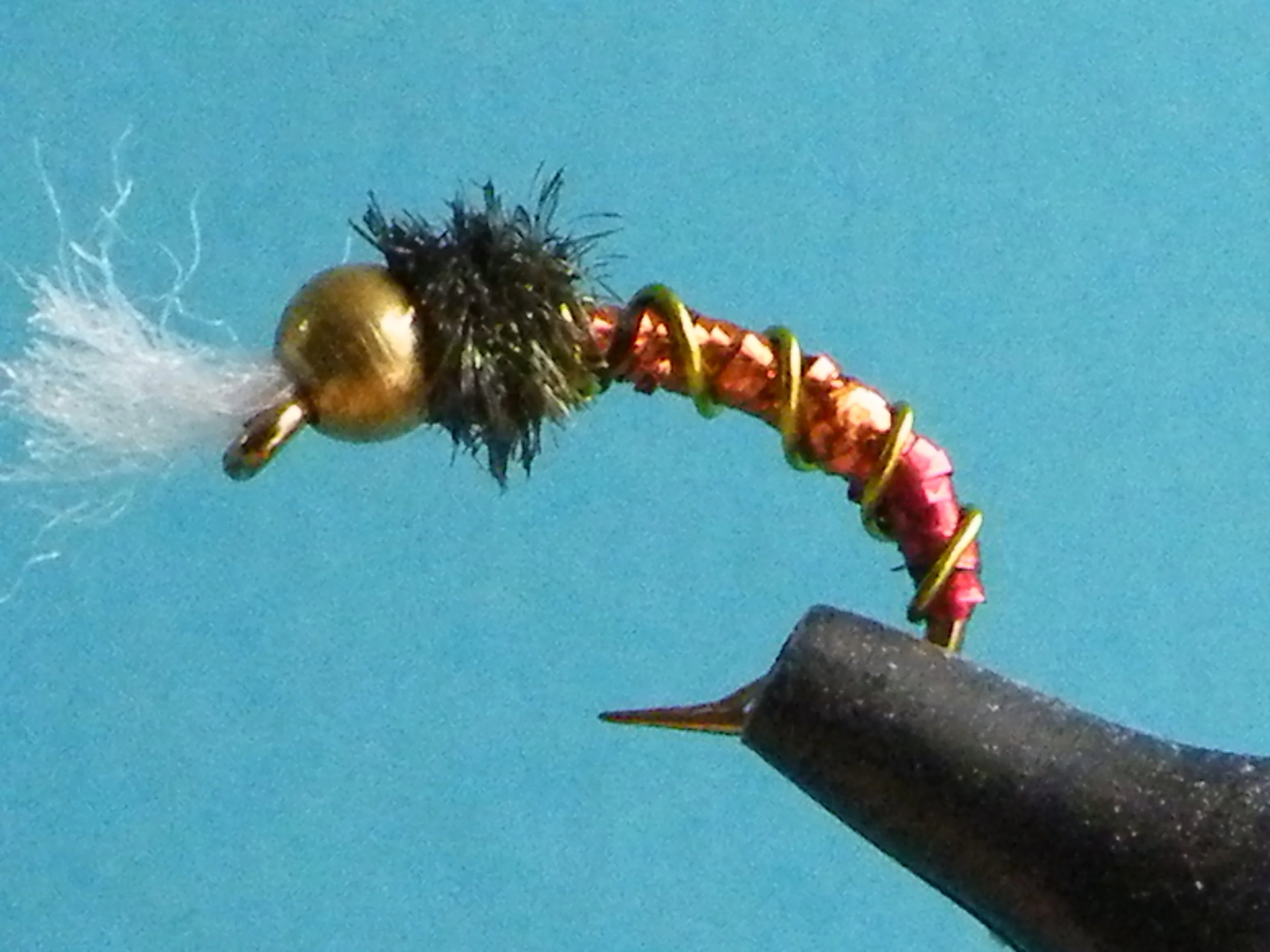 Clearwater Chironomid Pupa(1).JPG